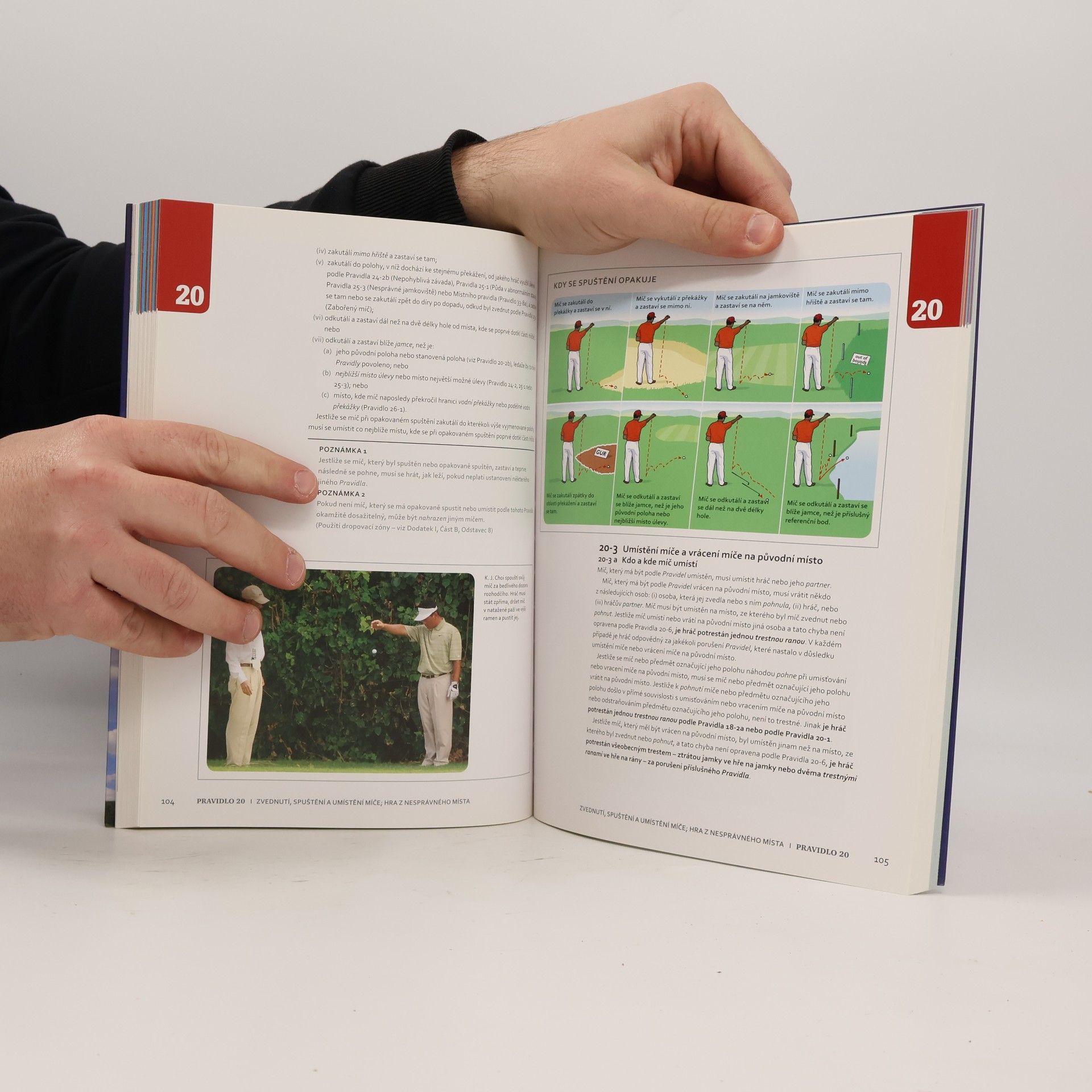 Kolektiv autorů Ilustrovaná pravidla golfu
