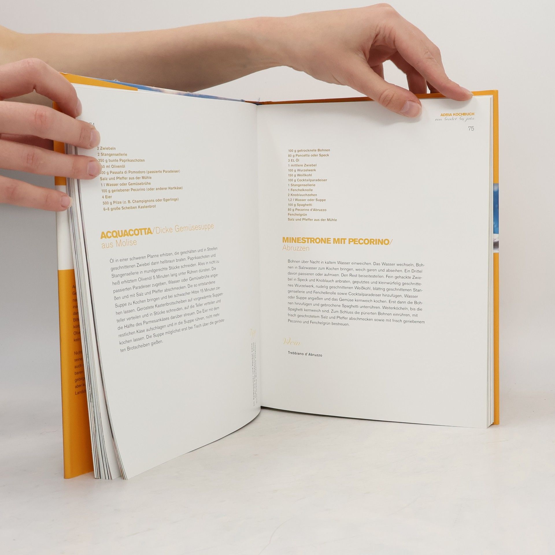 Christoph Wagner ADRIA kochbuch