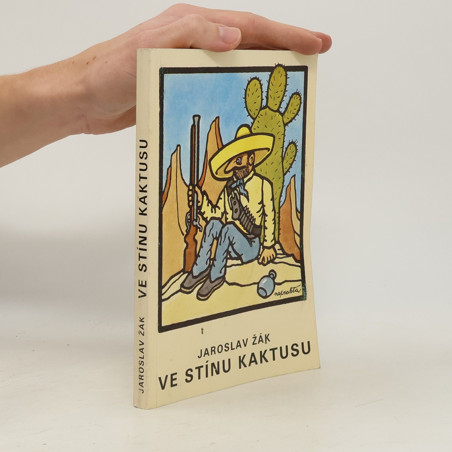 Ve stínu kaktusu