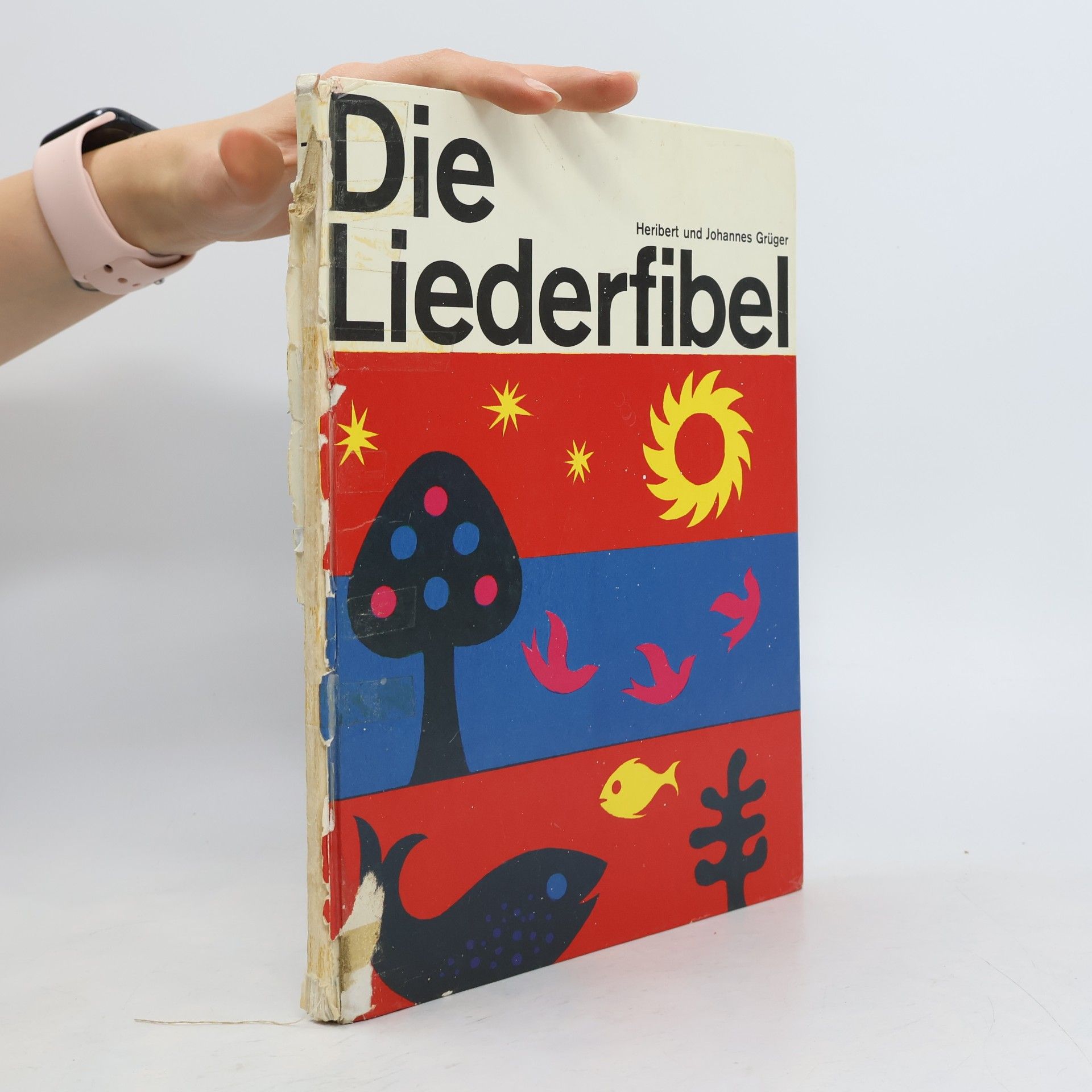 Die Liederfibel