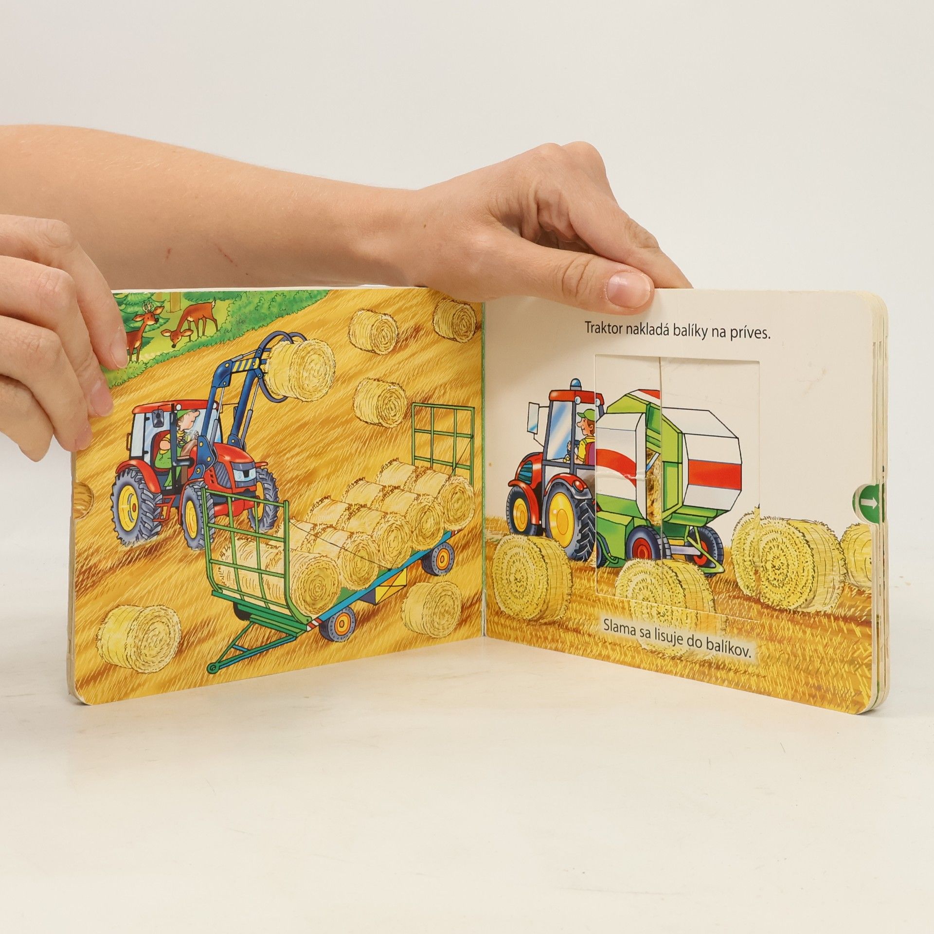 Autores varios Na farme