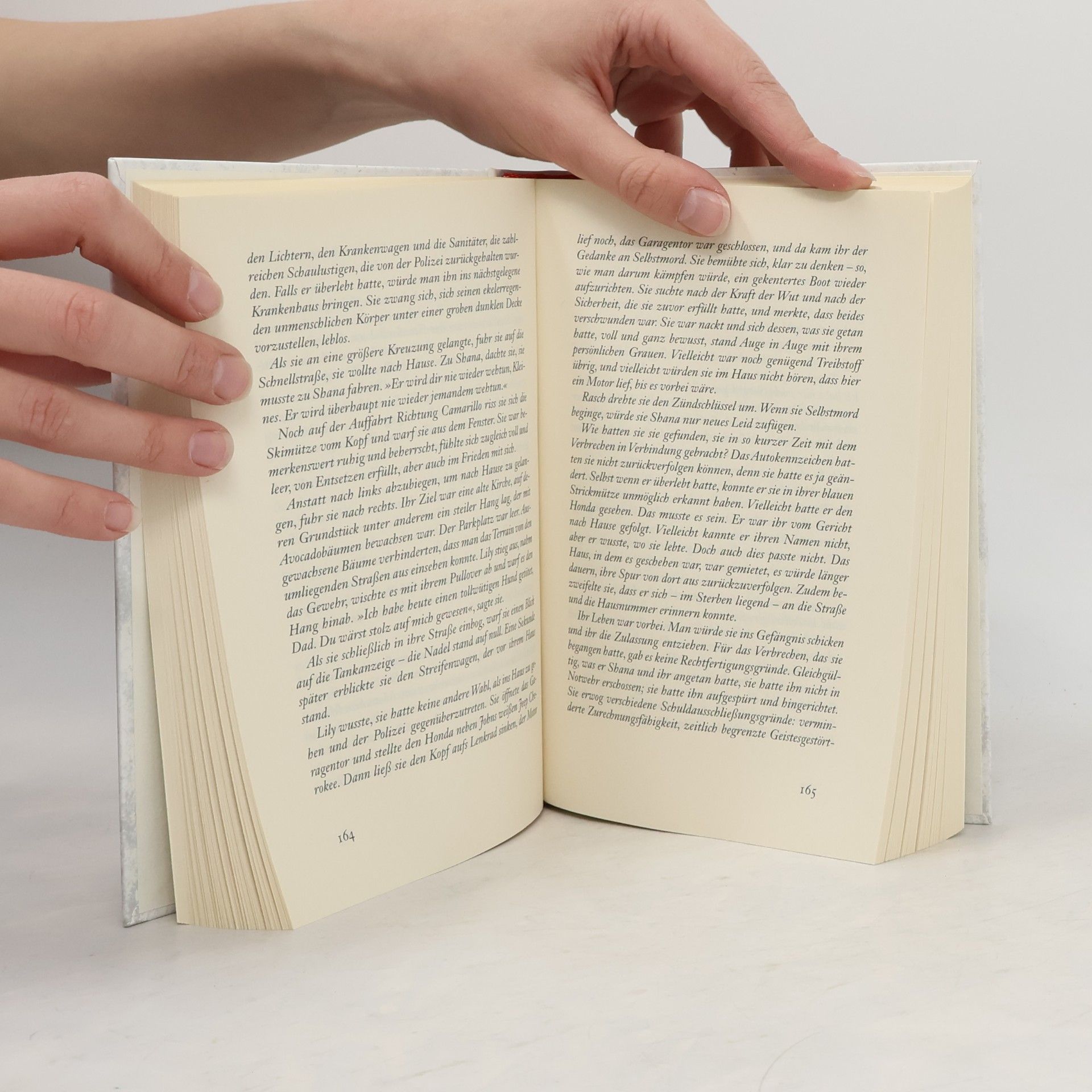 Nancy Taylor Rosenberg Der blutrote Engel