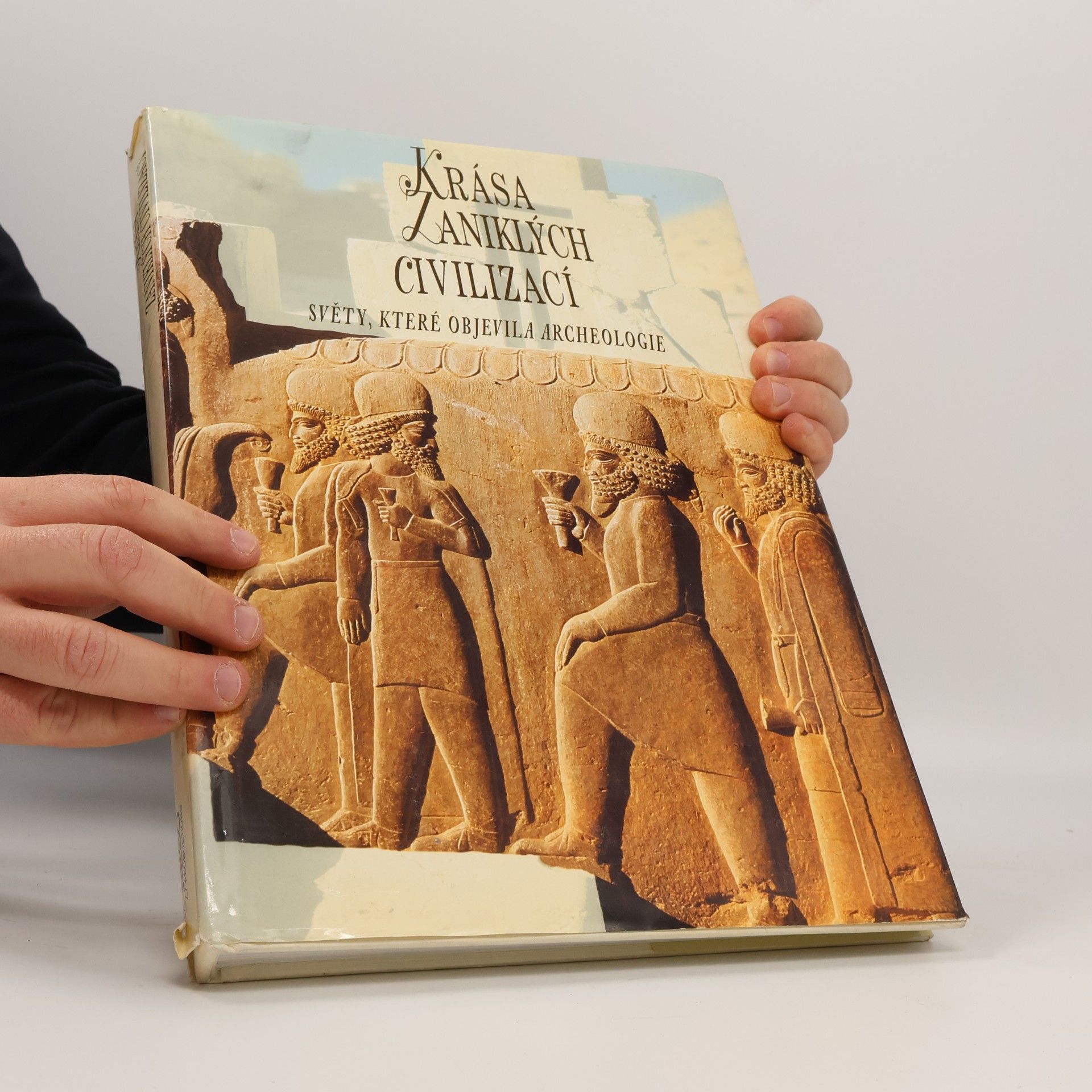 Krása zaniklých civilizací : světy, které objevila archeologie