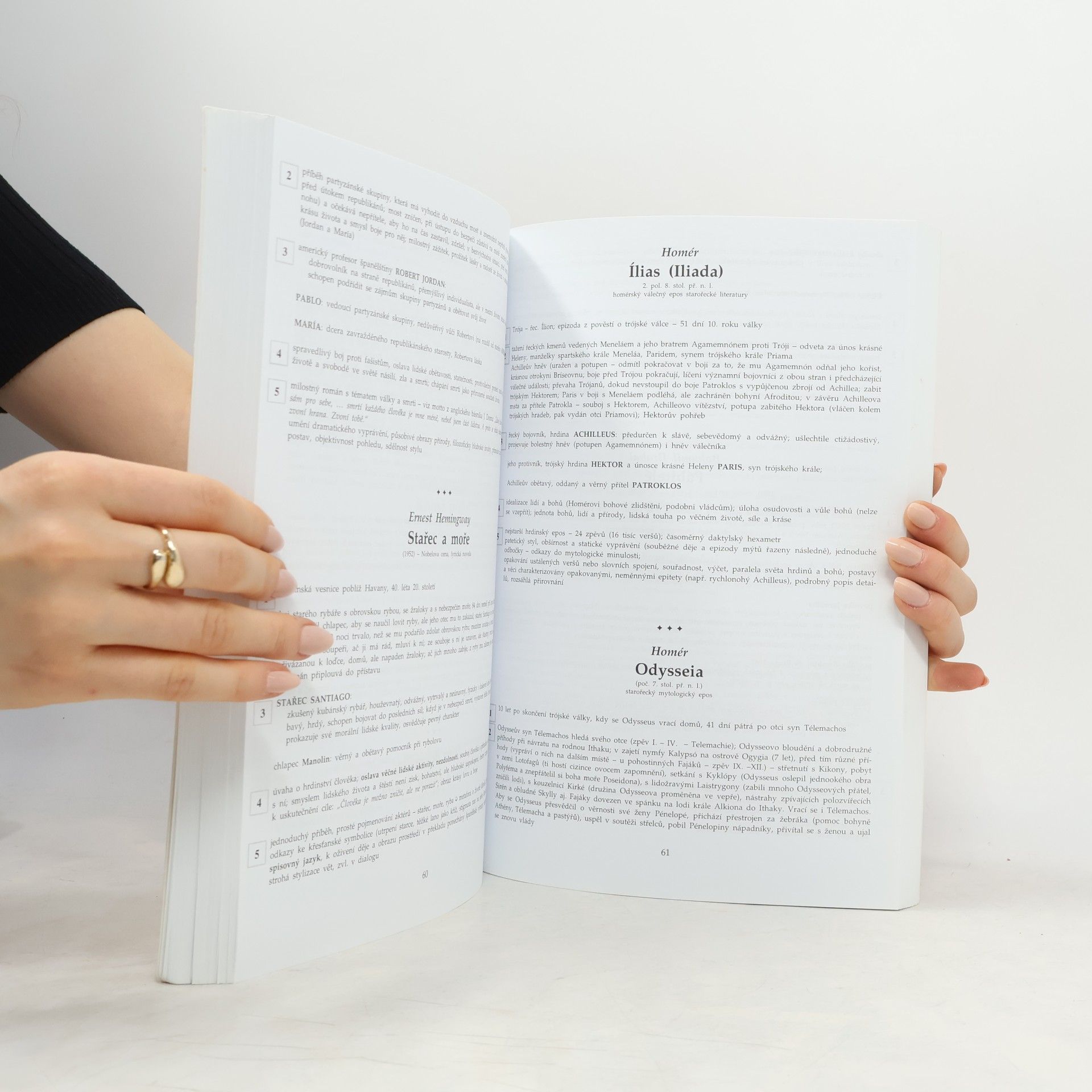 Marie Sochrová Český jazyk a literatura. Literatura, český jazyk, čtenářský deník, cvičení z českého jazyka