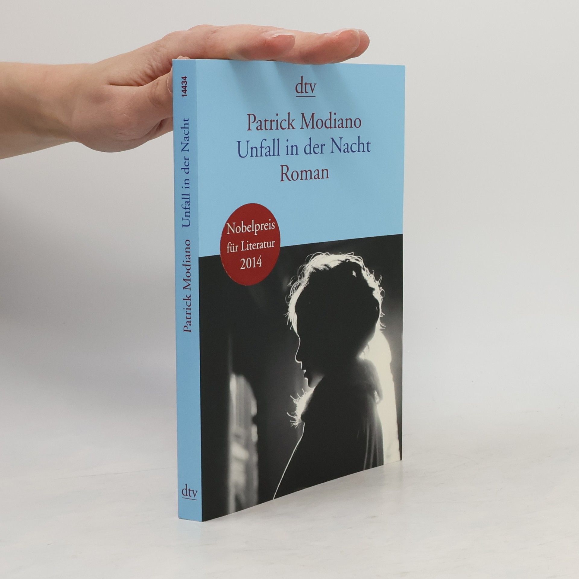 Patrick Modiano Unfall in der Nacht