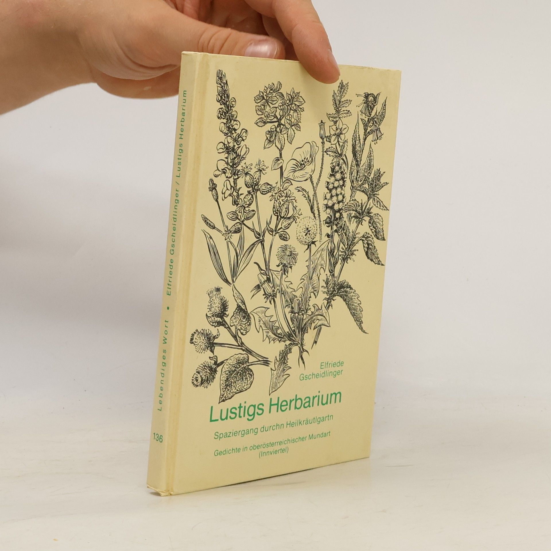 Elfriede Gscheidlinger Lustigs Herbarium. Band 136