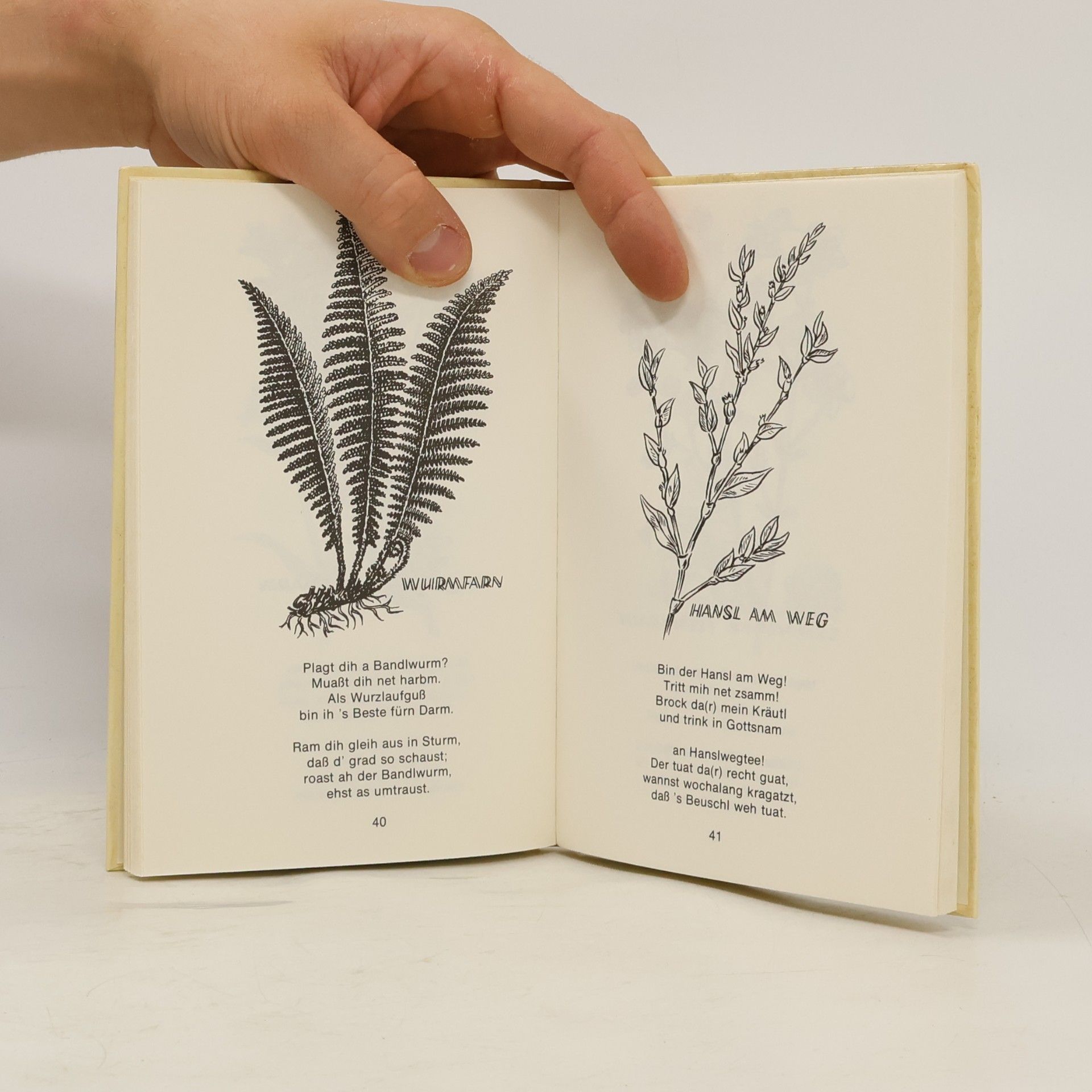 Elfriede Gscheidlinger Lustigs Herbarium. Band 136