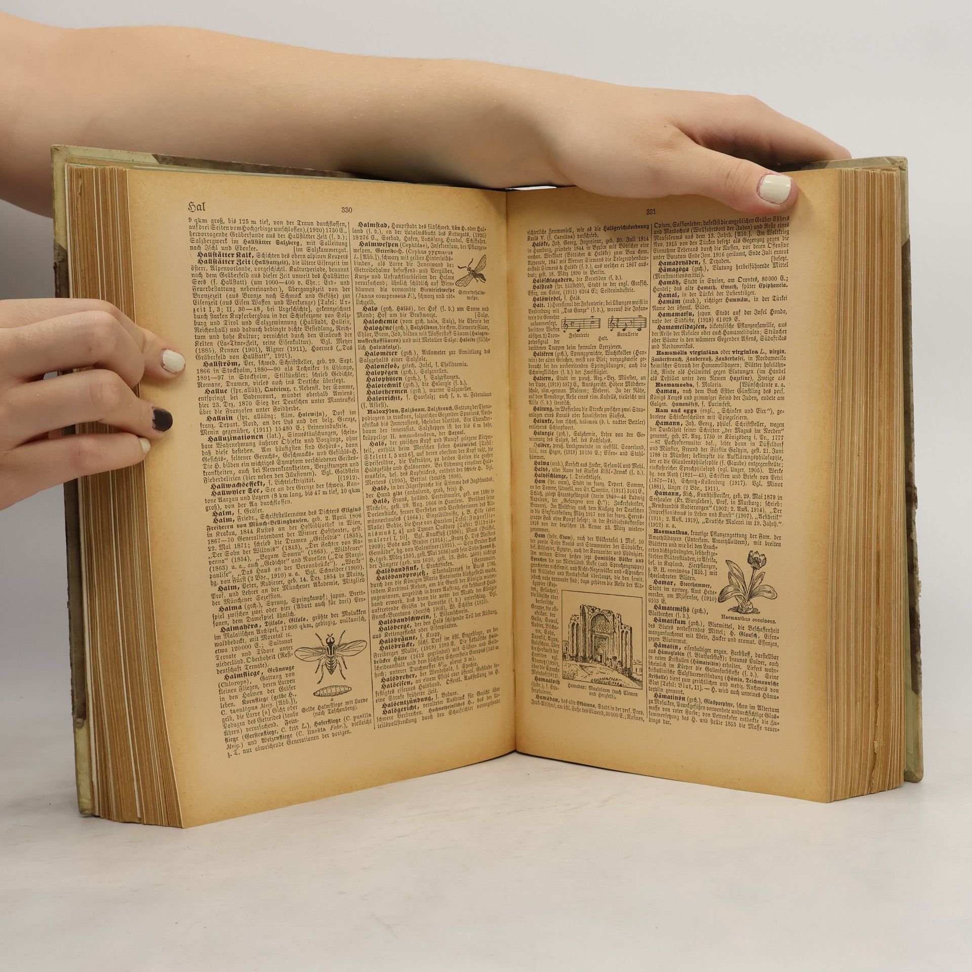 Autorenkollektiv Brockhaus Handbuch des Wissens in vier Bänden. 2. Band, F-K