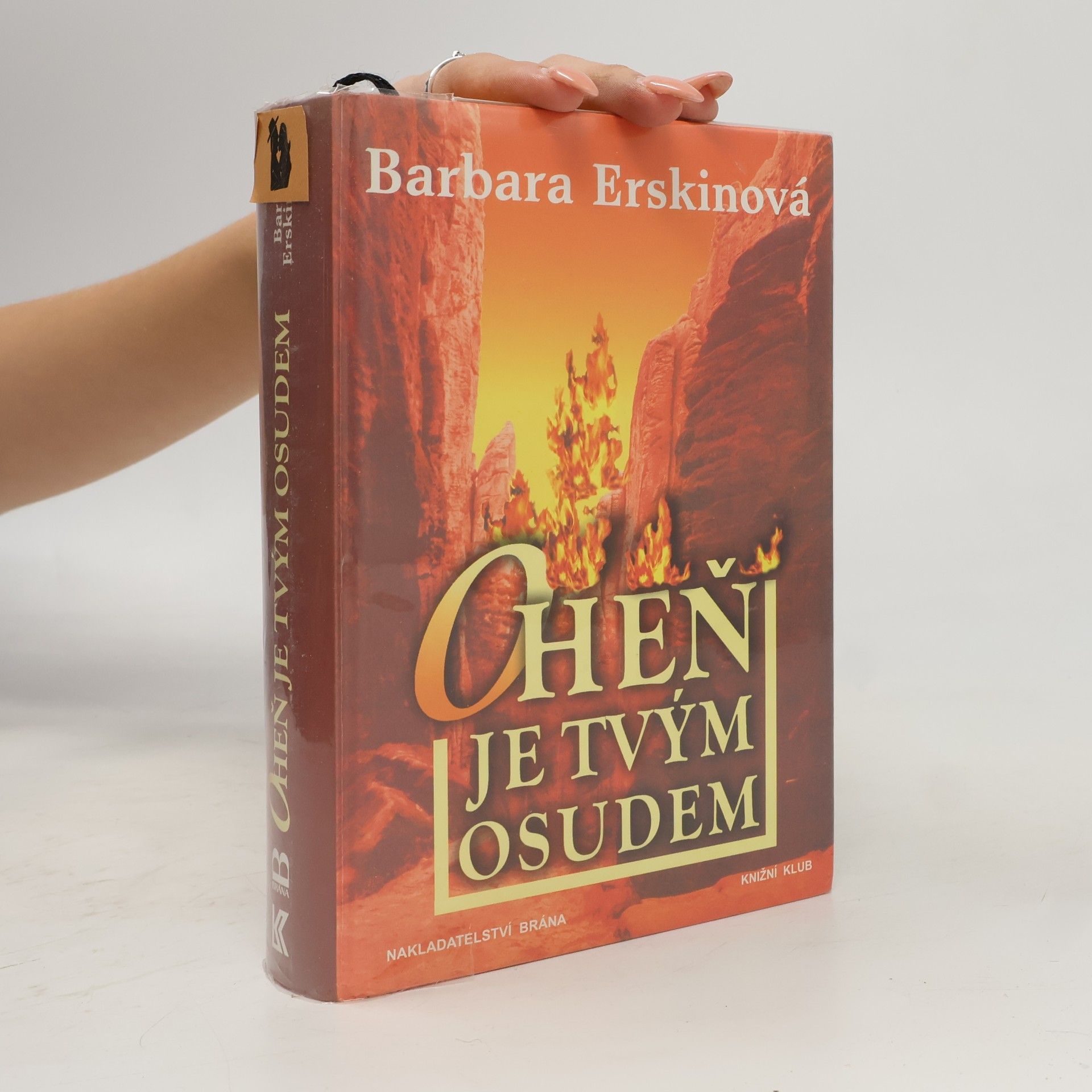 Barbara Erskine Oheň je tvým osudem