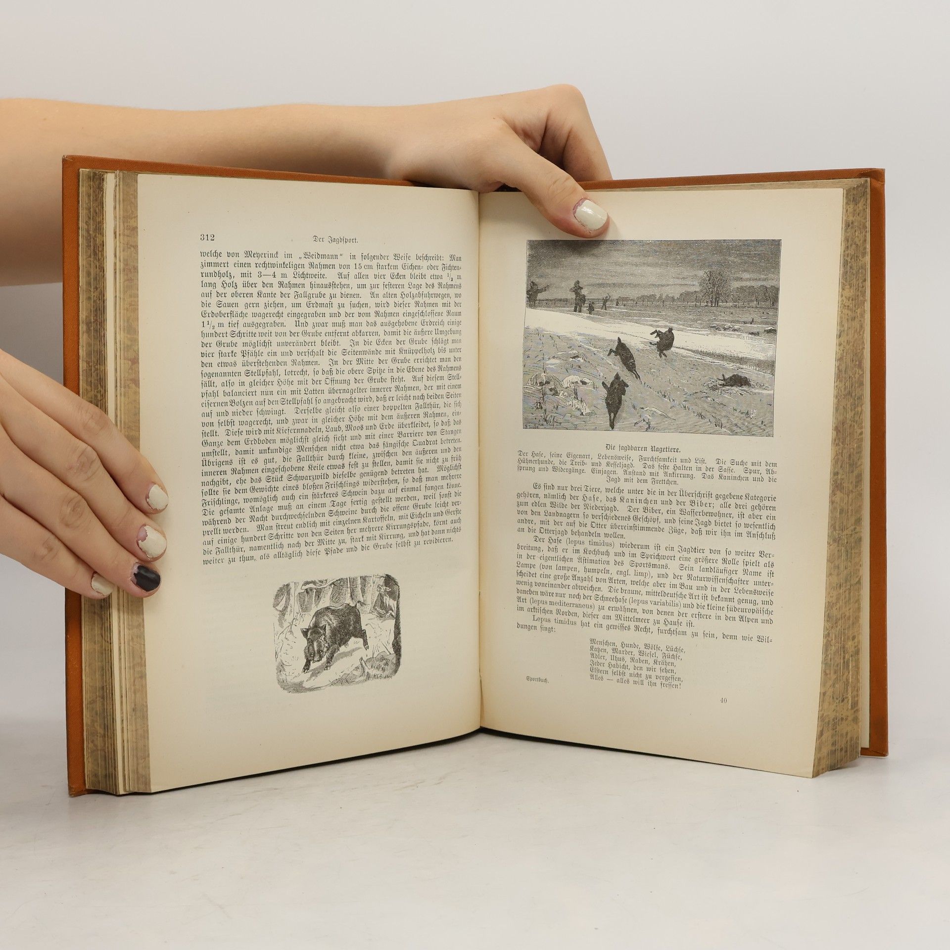 J. D. Georgens Illustrirtes Sport-Buch