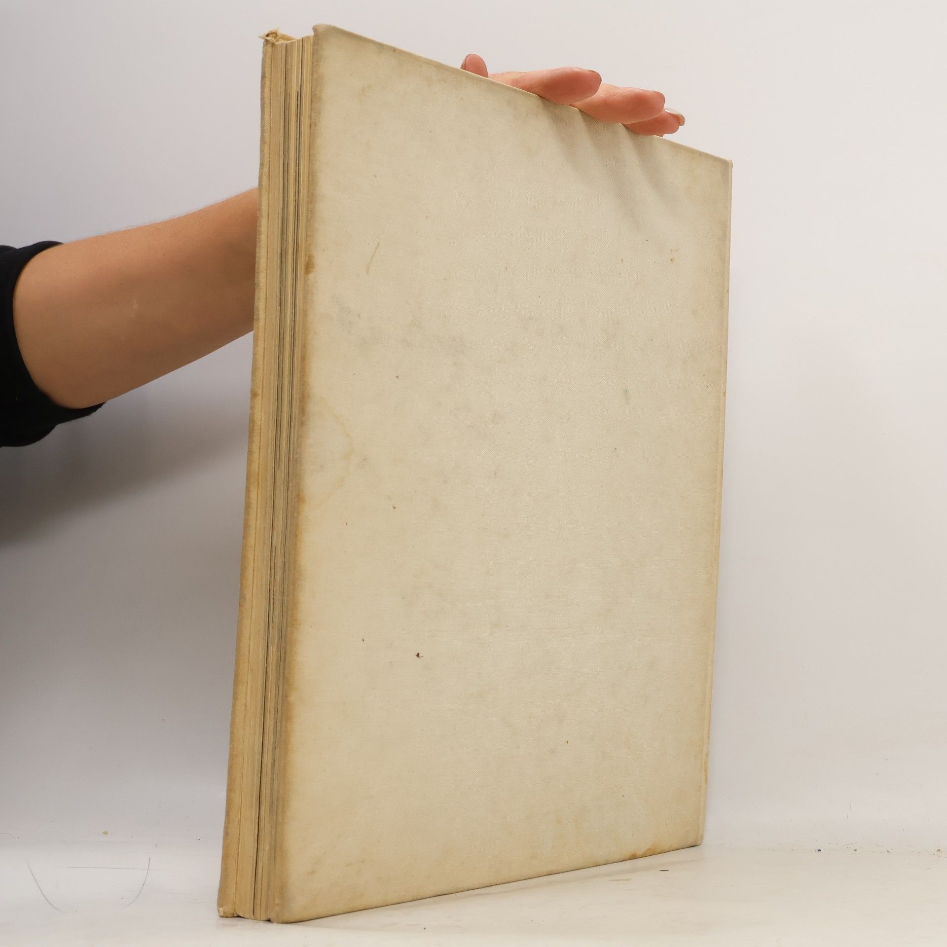 A. Buchner MUSICAL INSTRUMENTS: AN ILLUSTRATED HISTORY