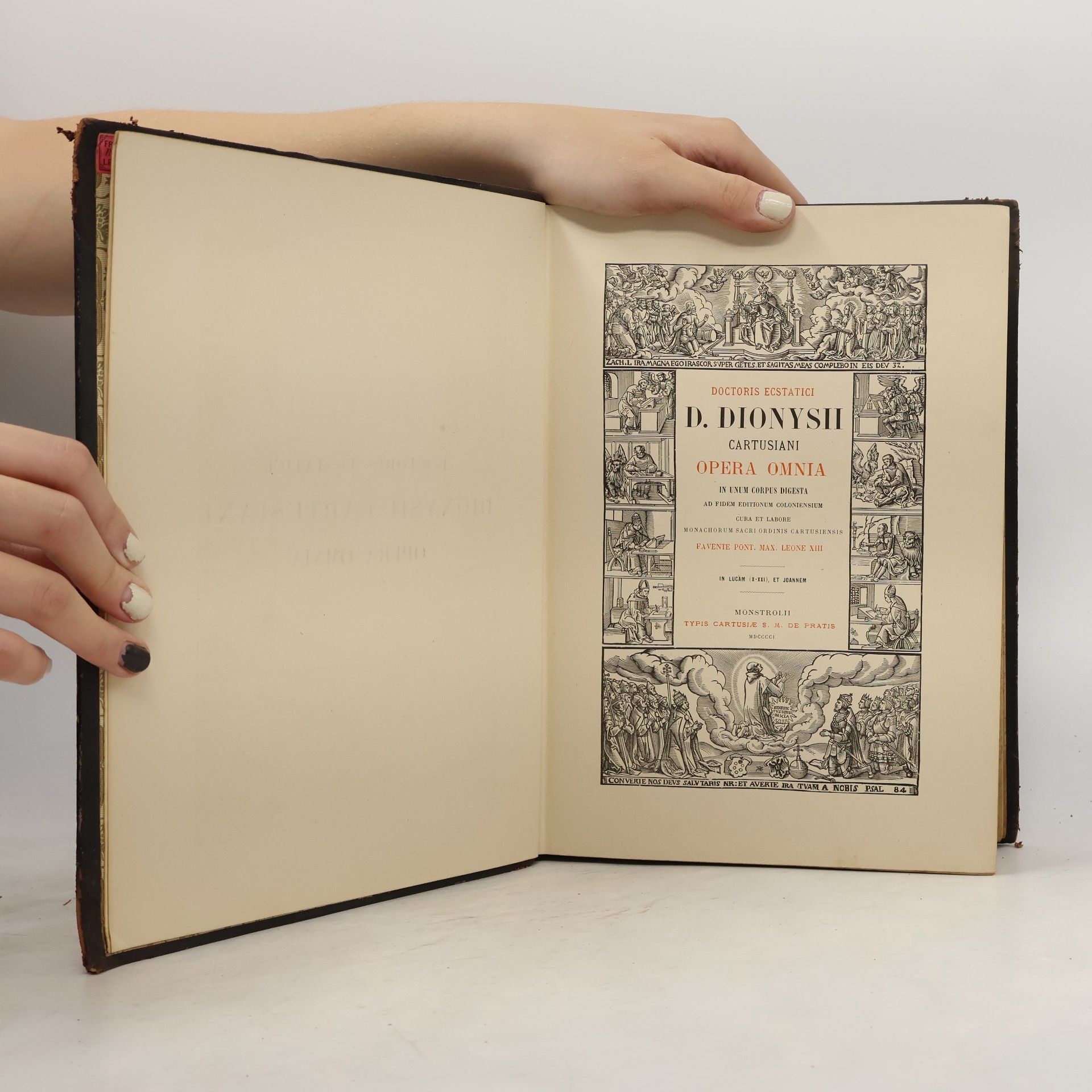 D. Dionysii Cartusiani Dionysii Cartusiani XIII