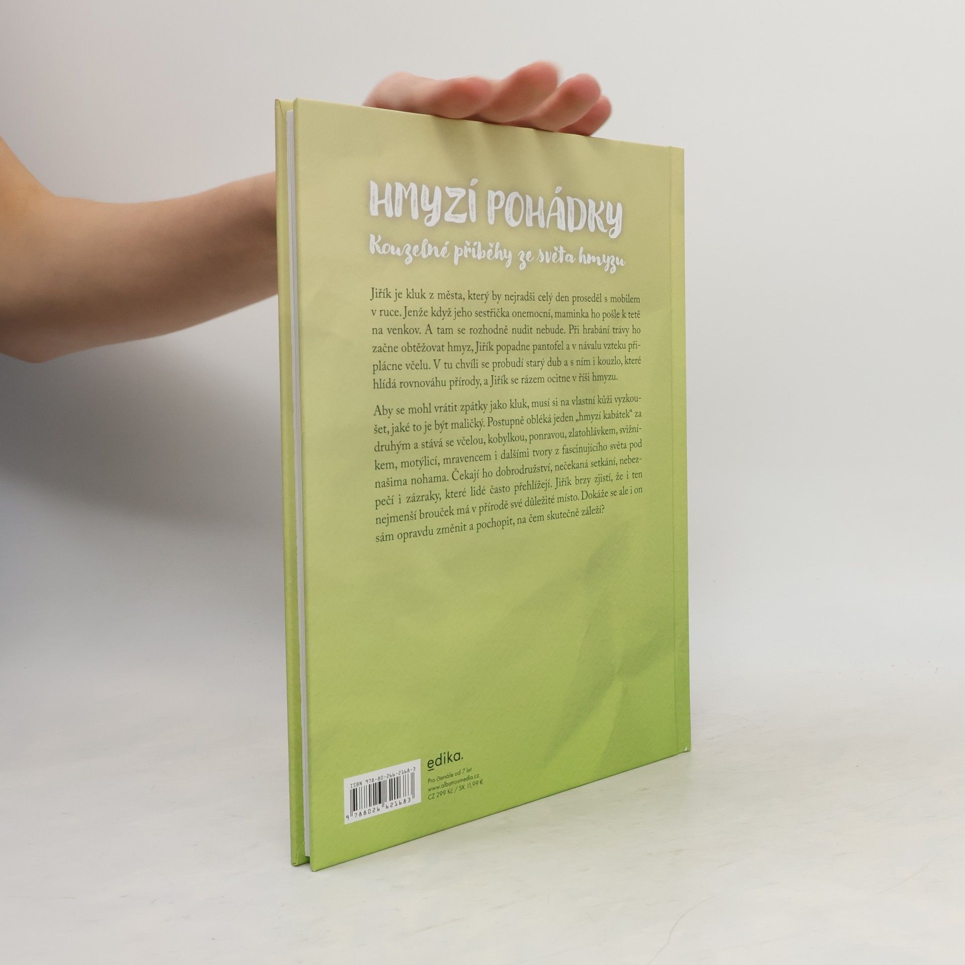 Martina Boučková Hmyzí pohádky