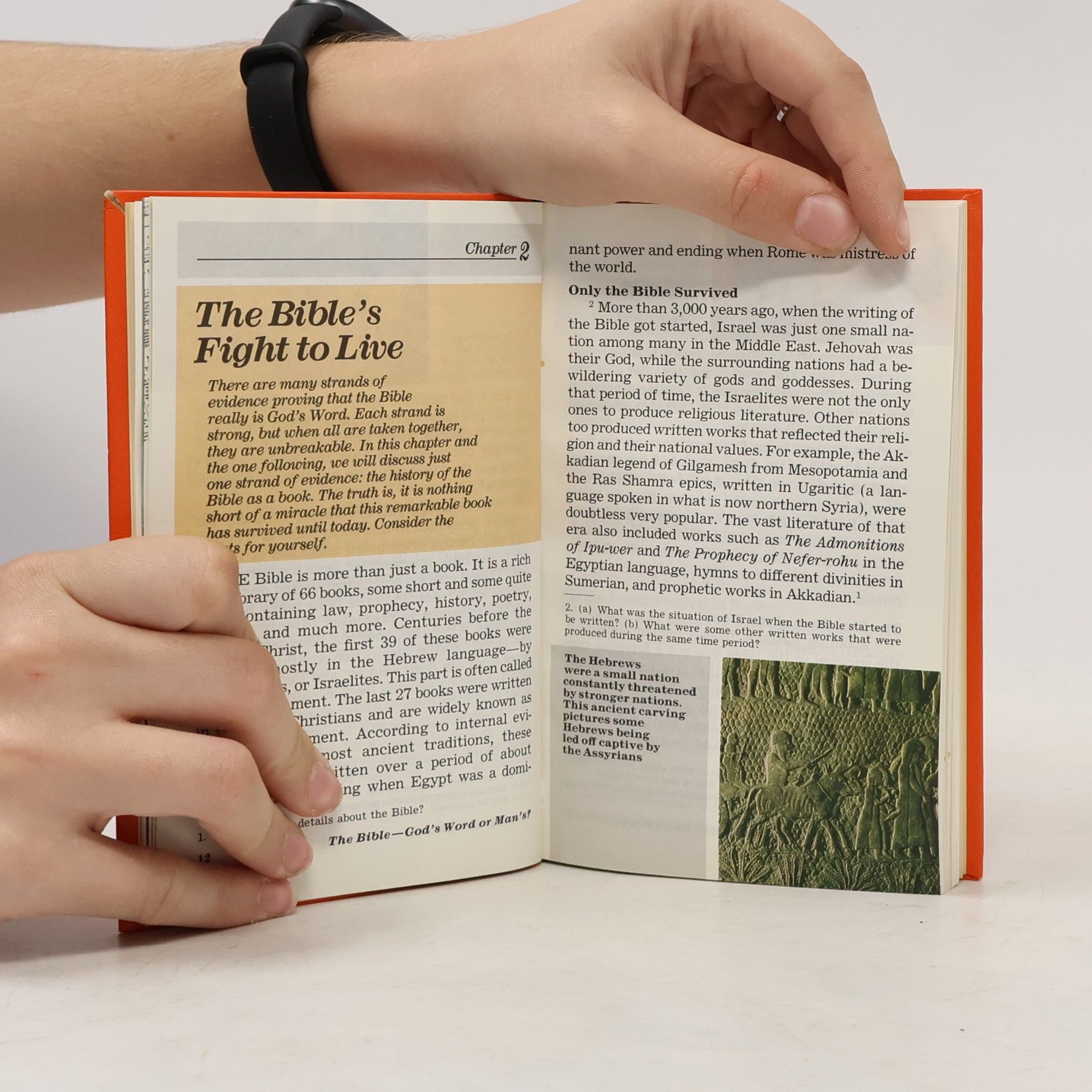 Autorenkollektiv The Bible