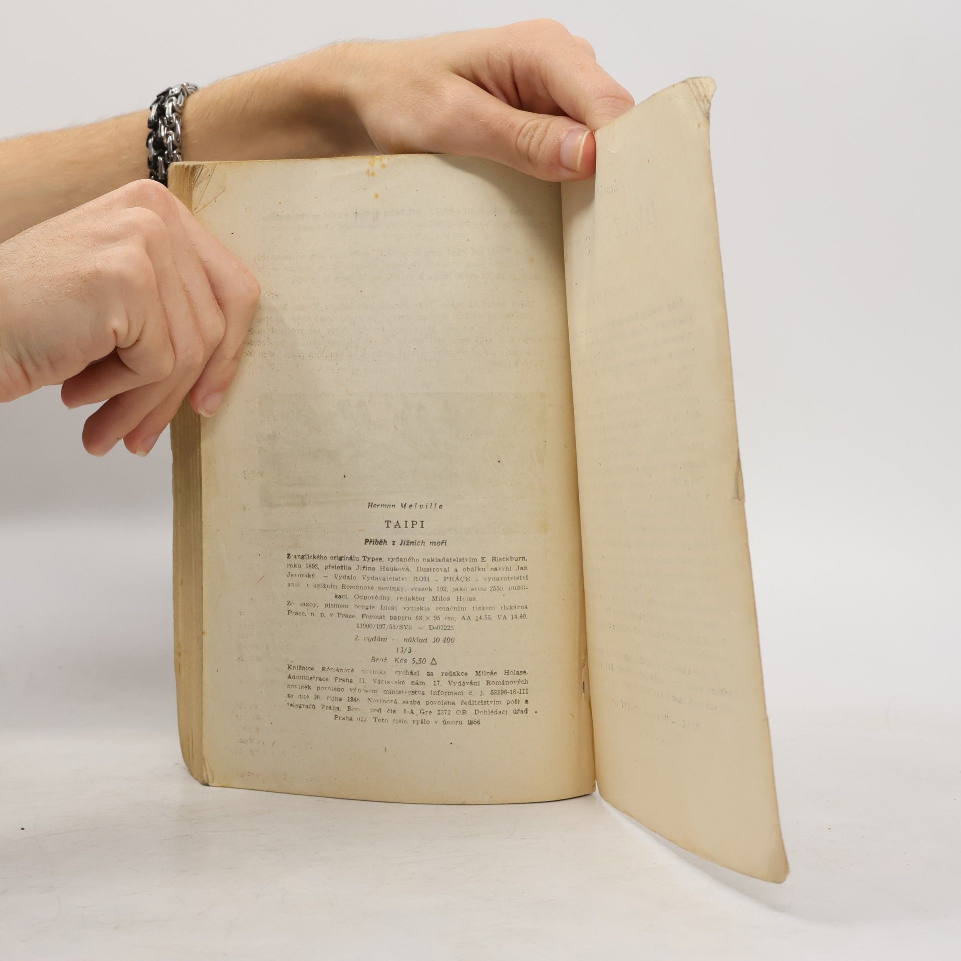 Herman Melville Taipi : příběh z Jižních moří