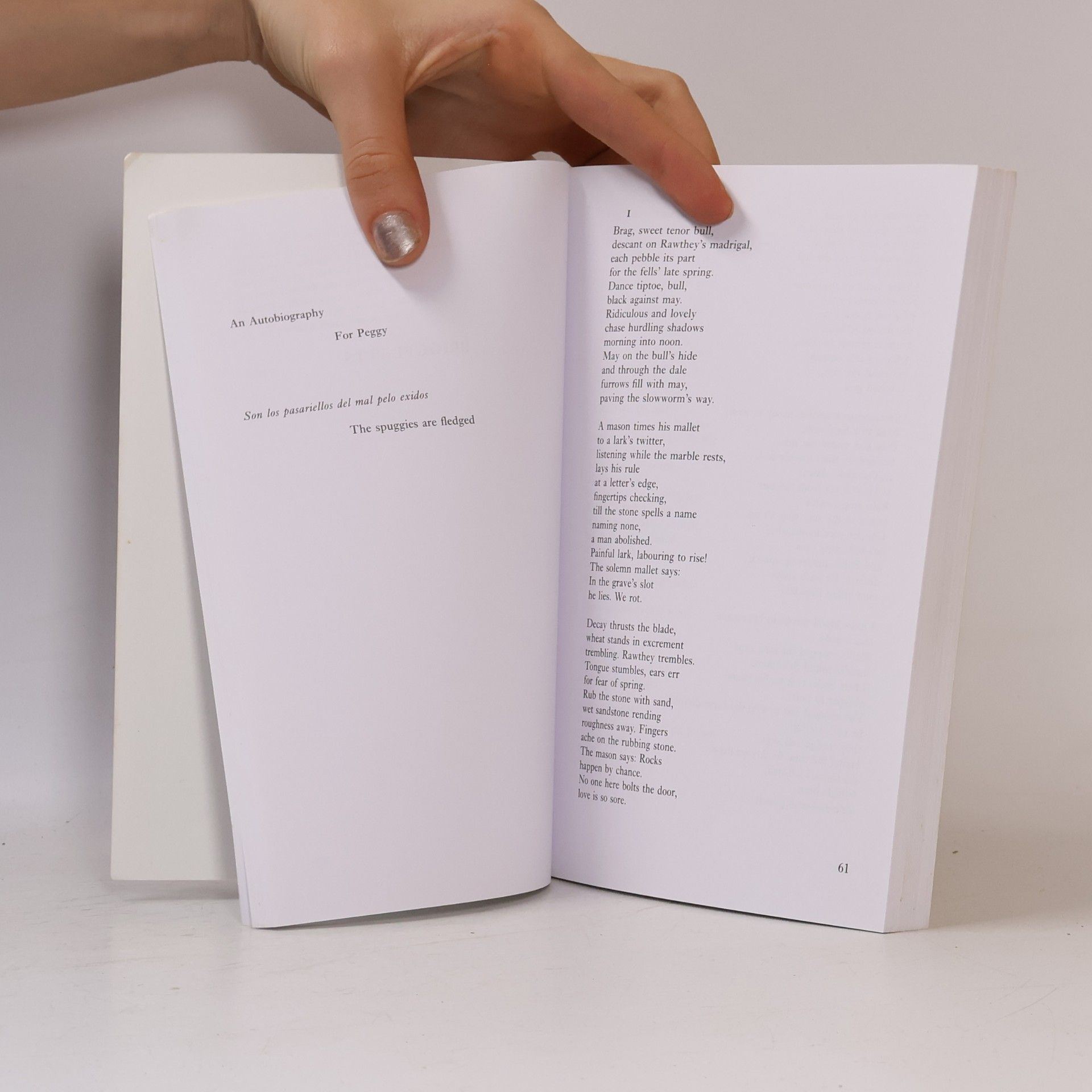 Basil Bunting Complete Poems