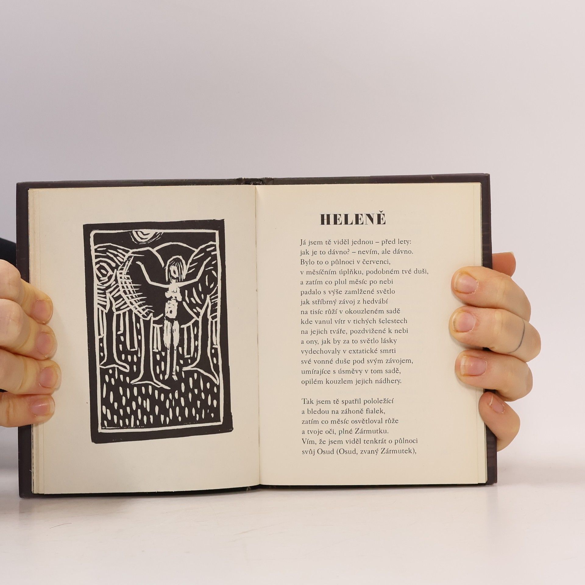 Edgar Allan Poe Havran a jiné básně