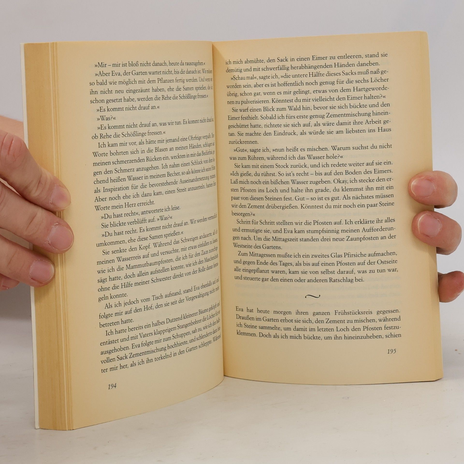 Jean Hegland Die Lichtung