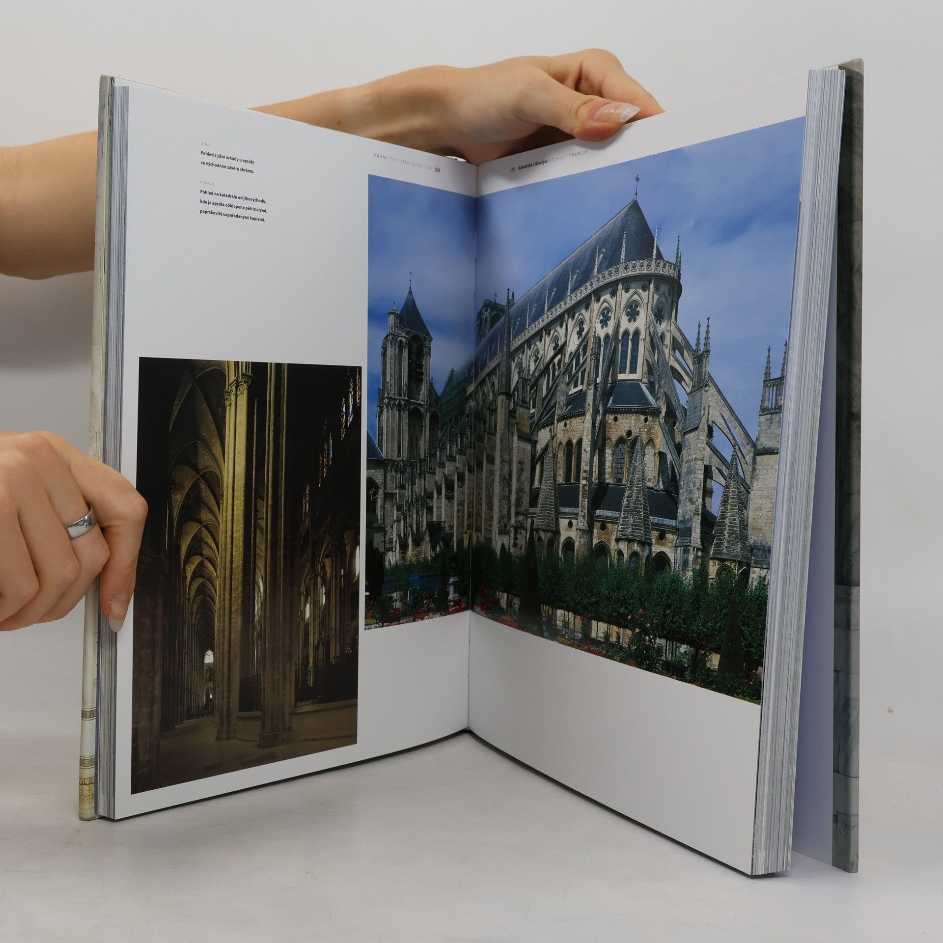 Will Pryce Mistrovská díla světové architektury