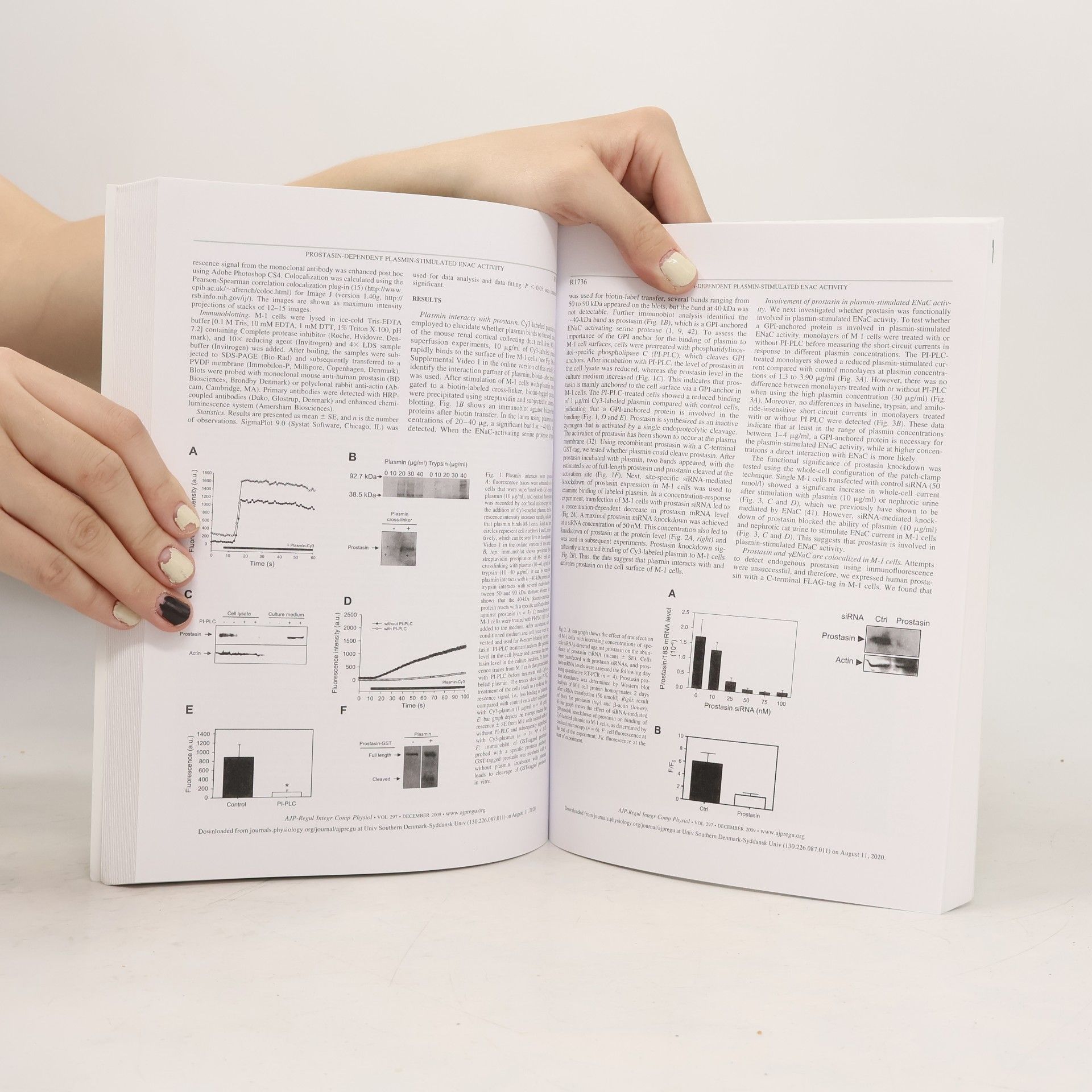 Per Svenningsen D.M. Sc. Thesis