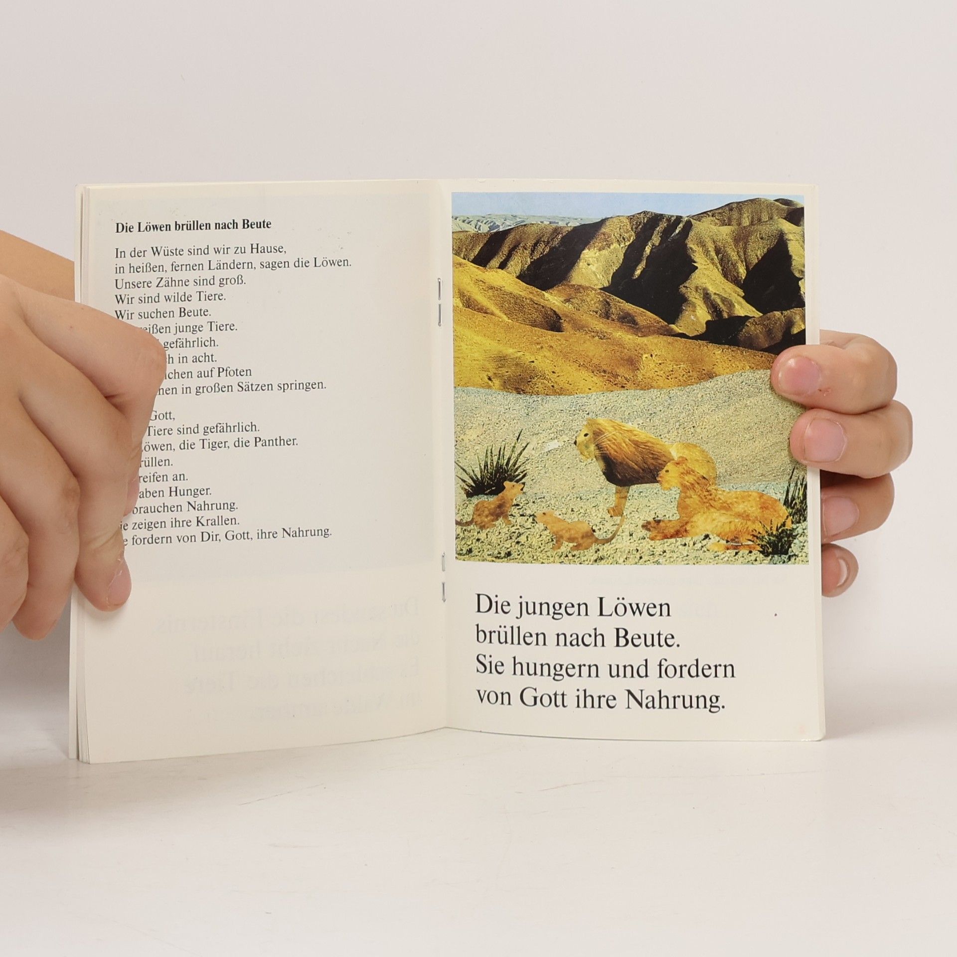 Sr. Esther Kaufmann Wie wunderbar sind Deine Werke, Herr. In Weisheit hast Du sie erschaffen