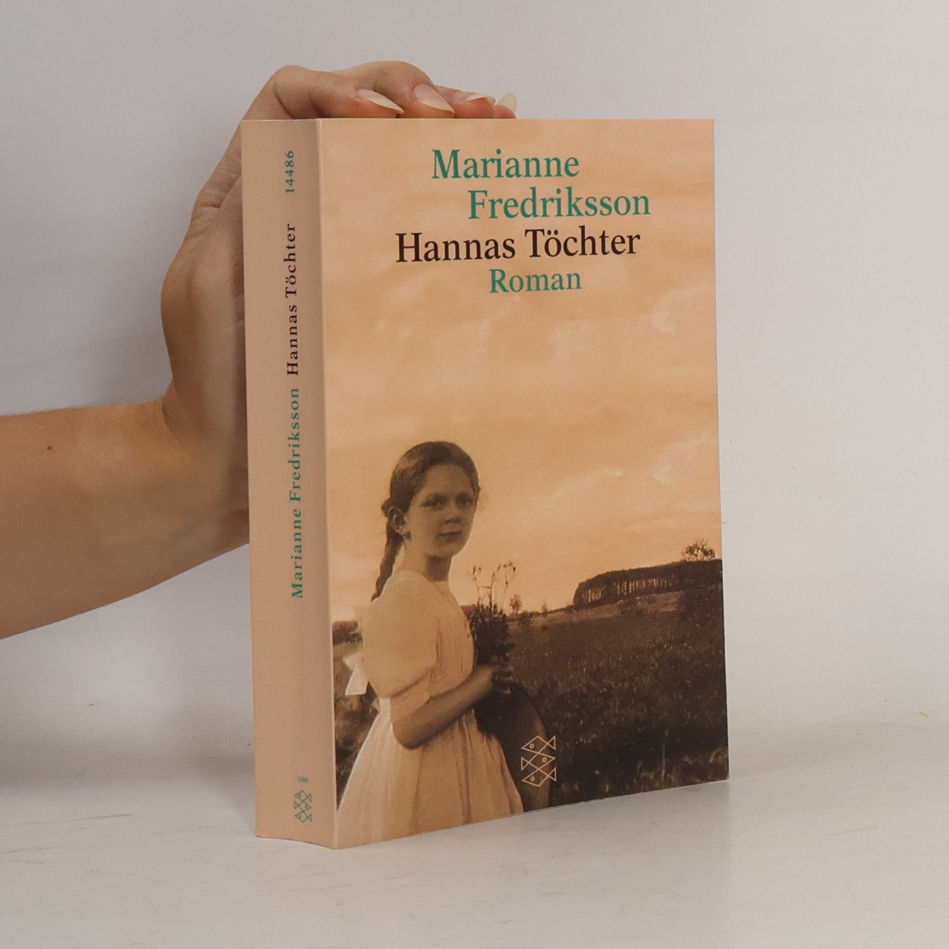 Marianne Fredriksson Hannas Töchter