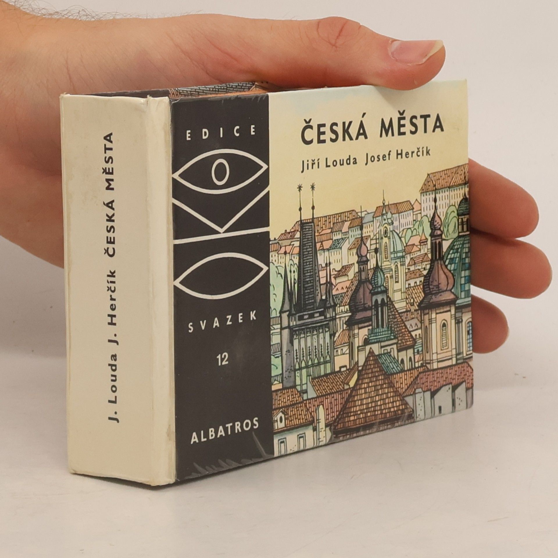 Česká města