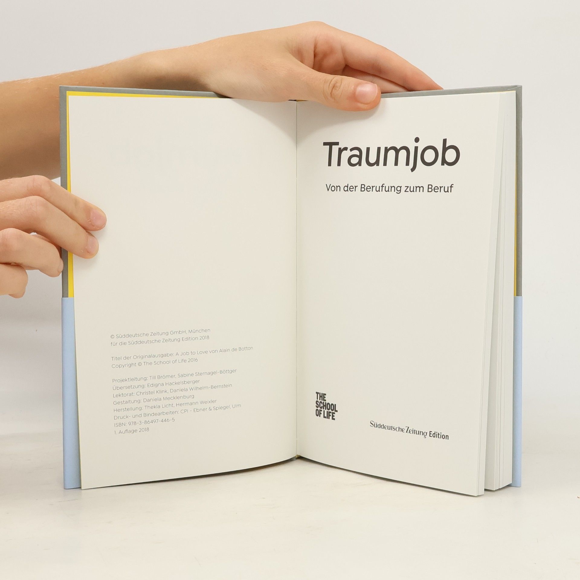 Alain de Botton Traumjob - Von der Berufung zum Beruf