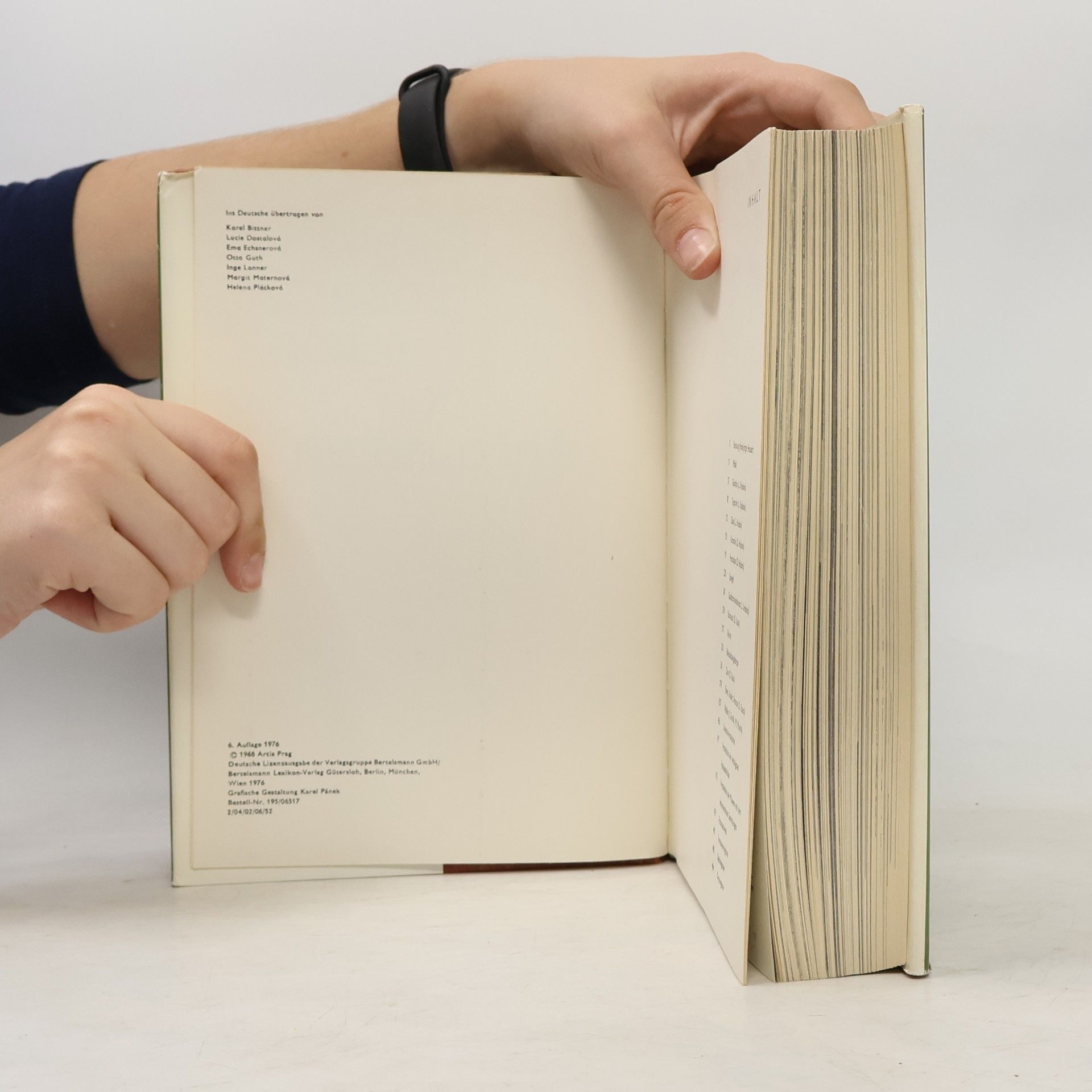 Autorenkollektiv Das große Bilderlexikon der Antiquitäten