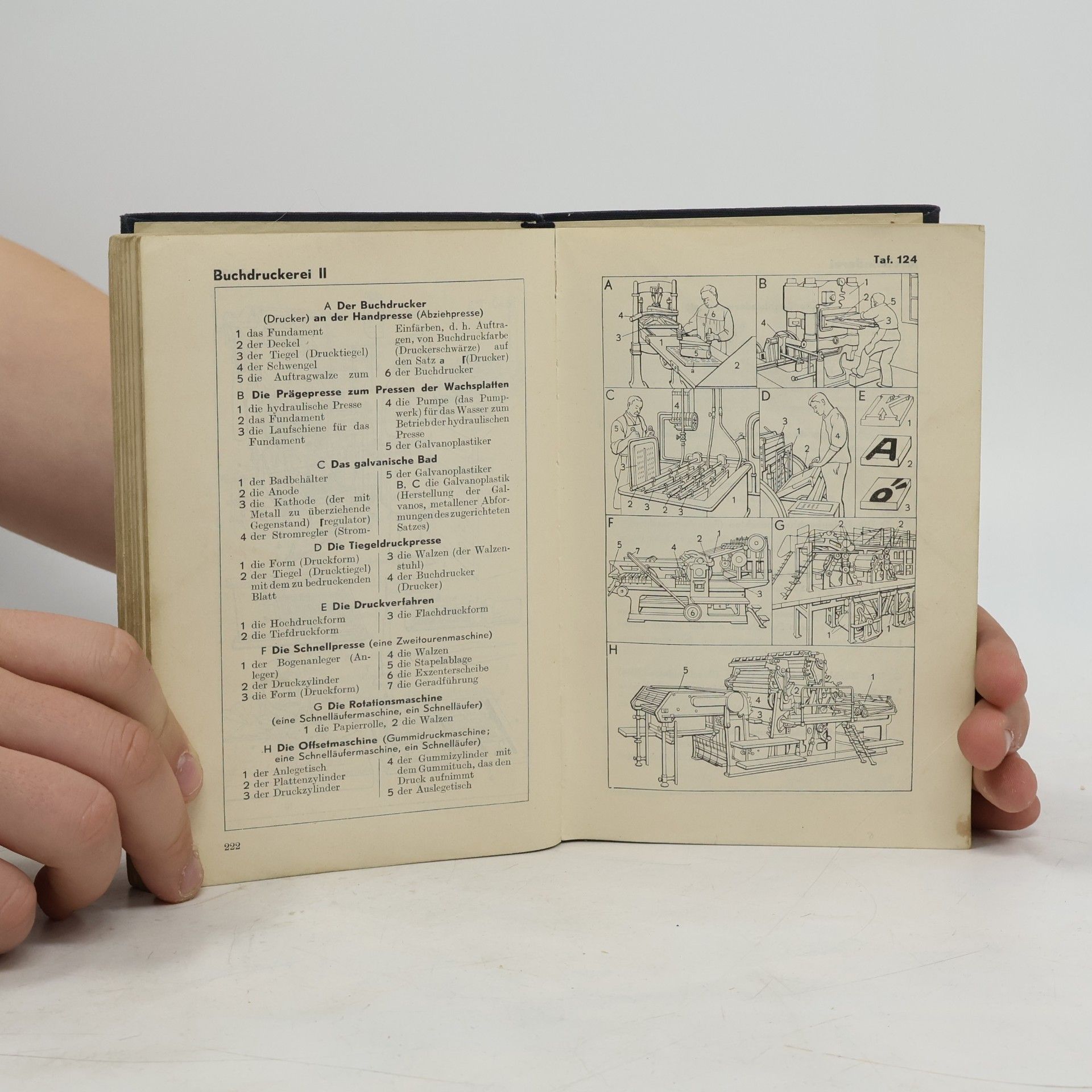 Autorenkollektiv Der Große Duden. Bildwörterbuch