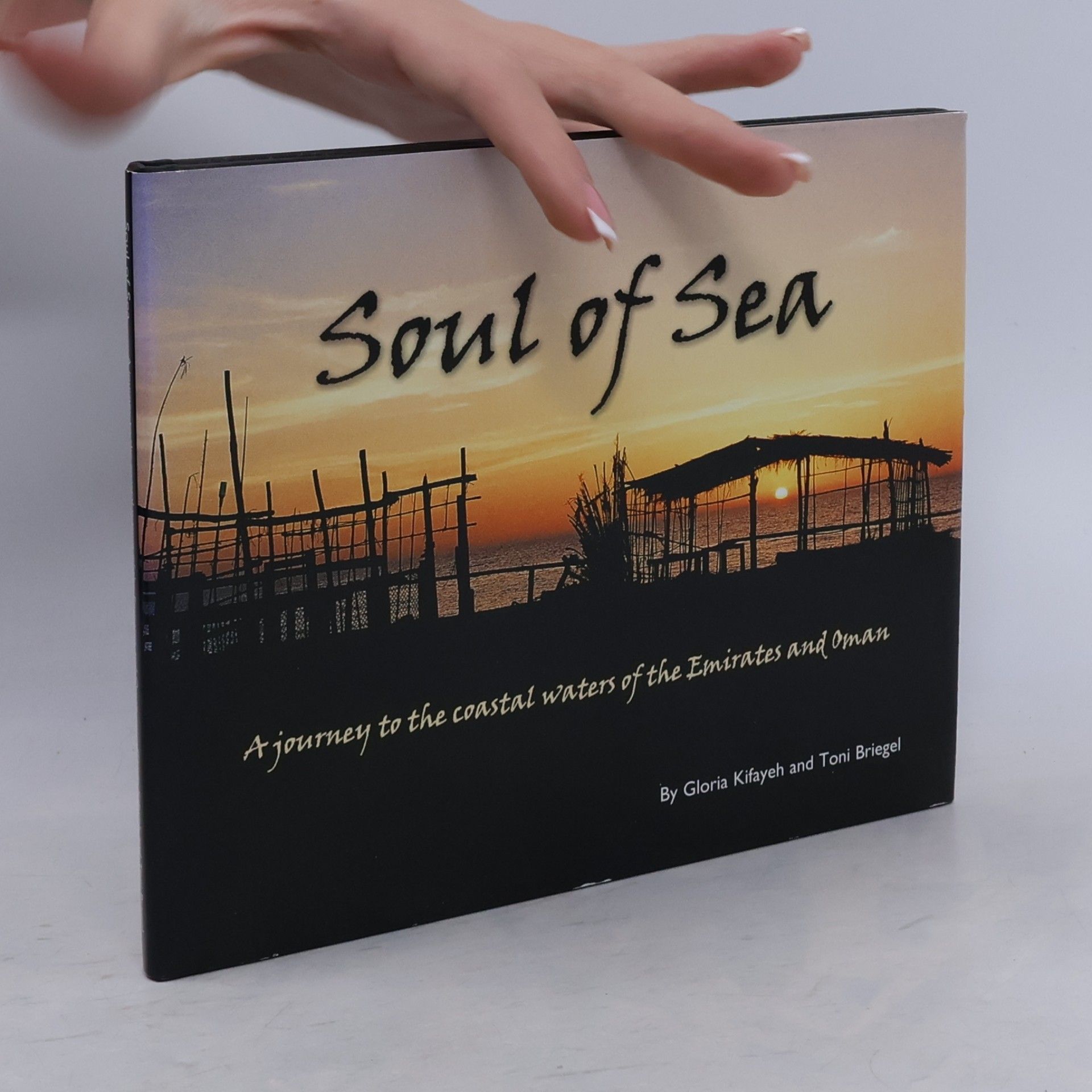 Toni Briegel Soul of Sea