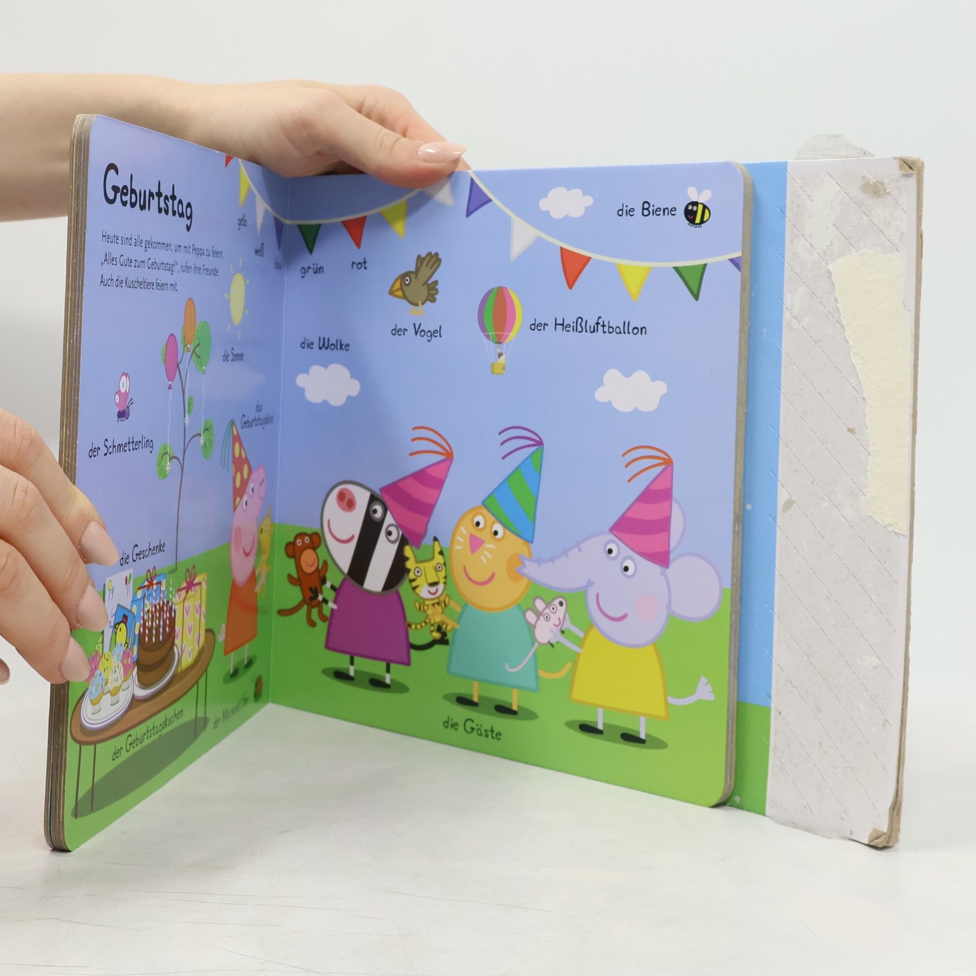 Autorenkollektiv Mein Memo-Buch mit Peppa Pig