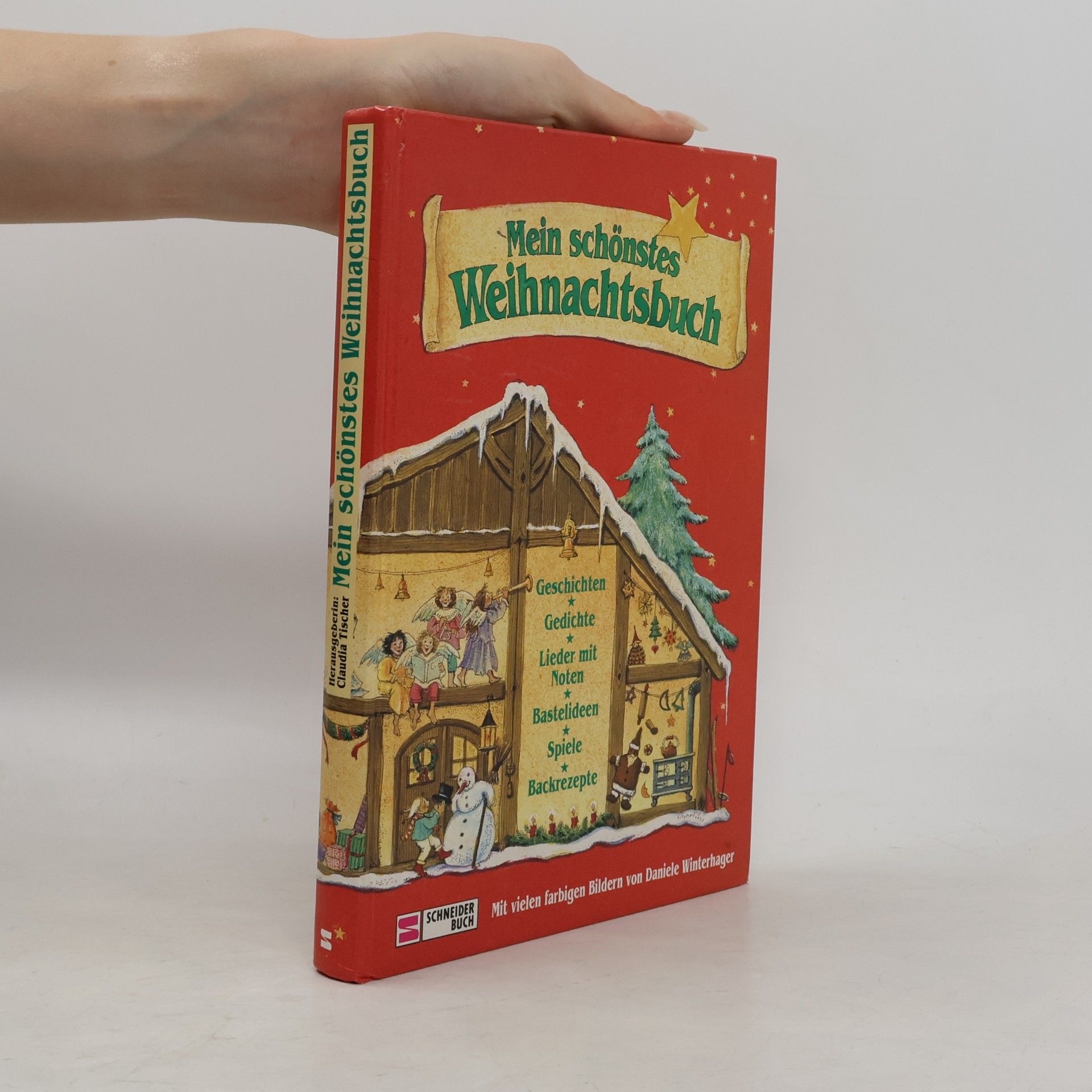 Daniele Winterhager Mein schönstes Weihnachtsbuch