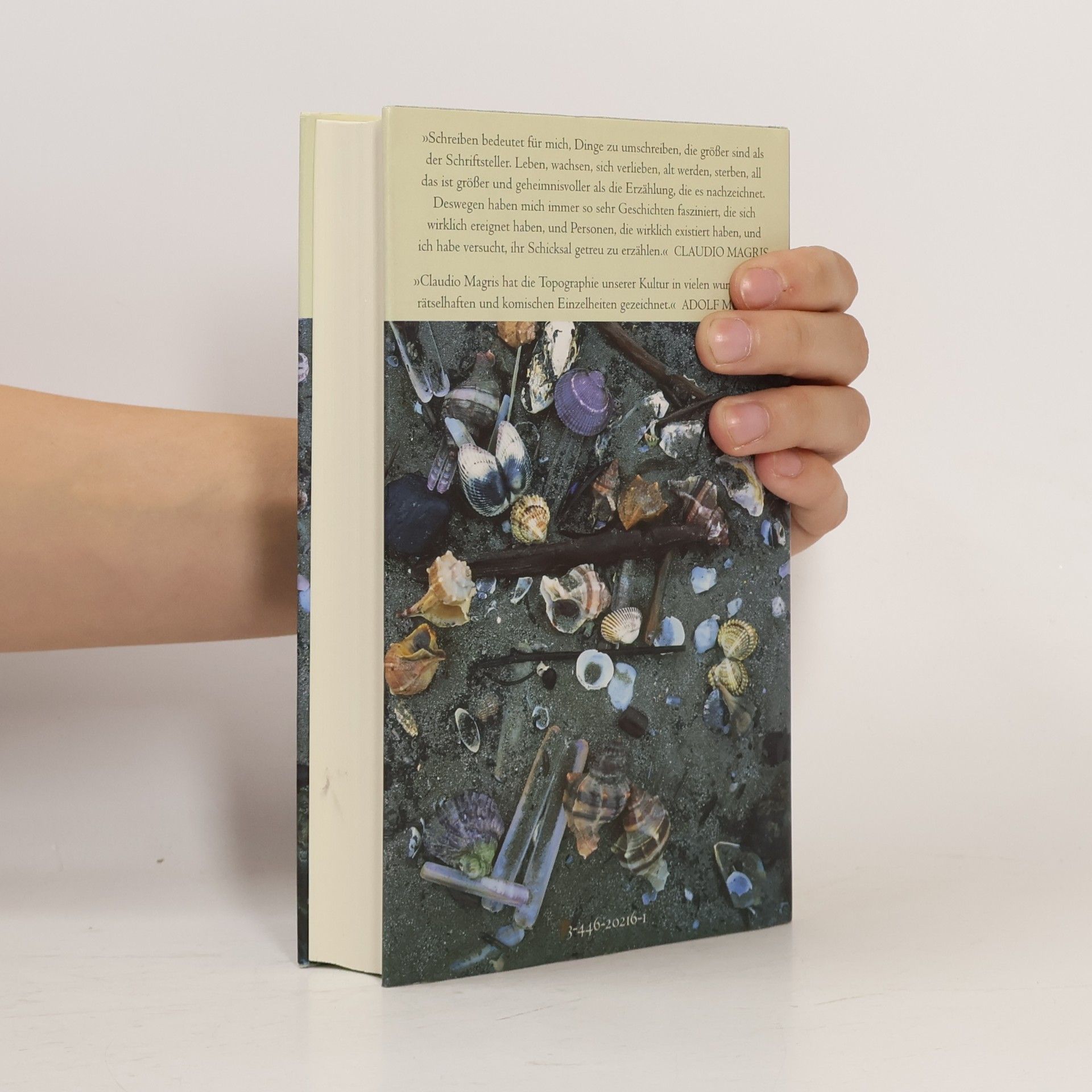 Claudio Magris Utopie und Entzauberung