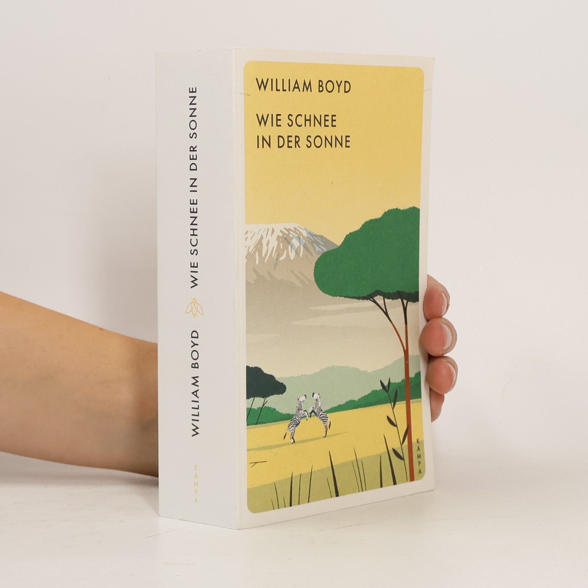 William Boyd Wie Schnee in der Sonne