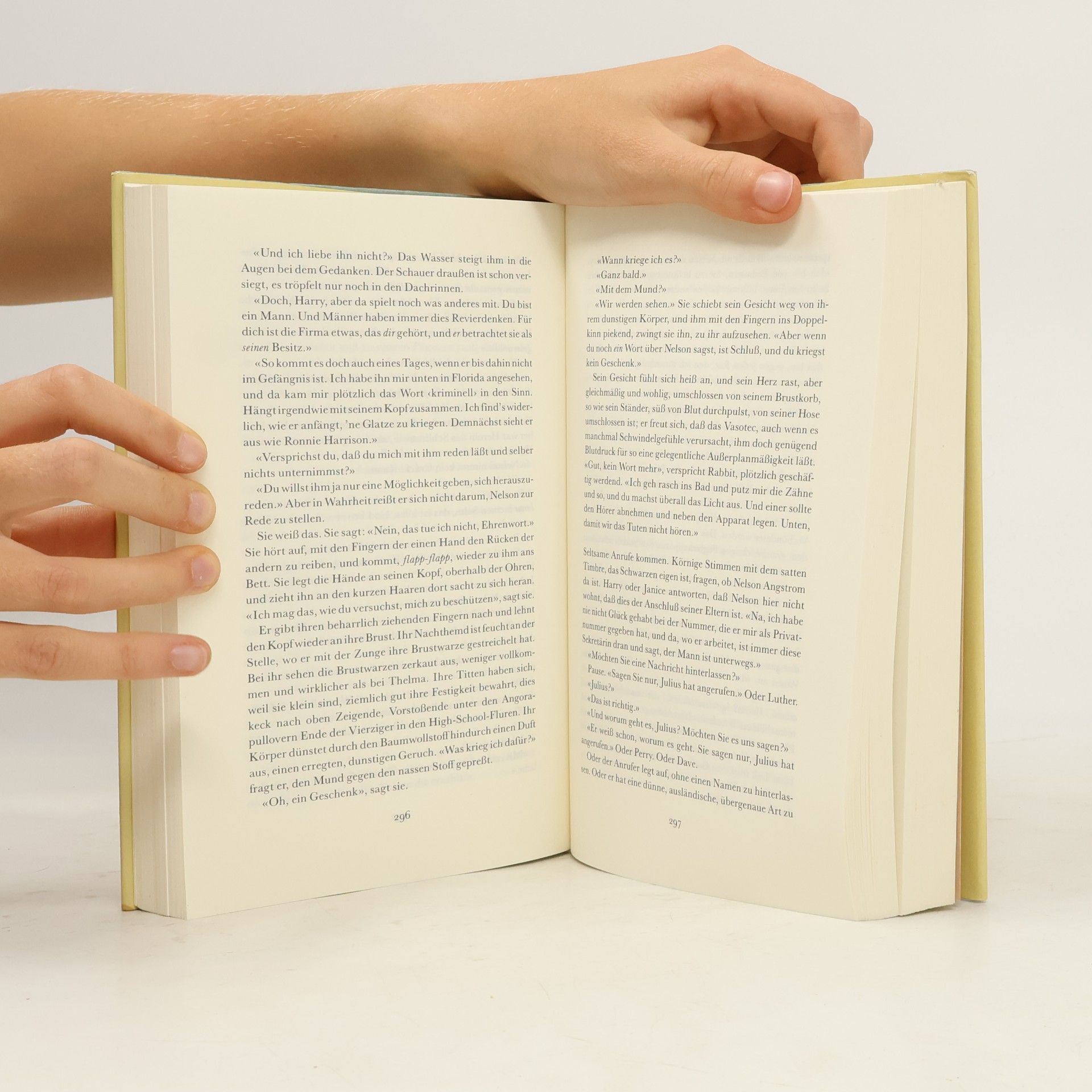John Updike Rabbit in Ruhe
