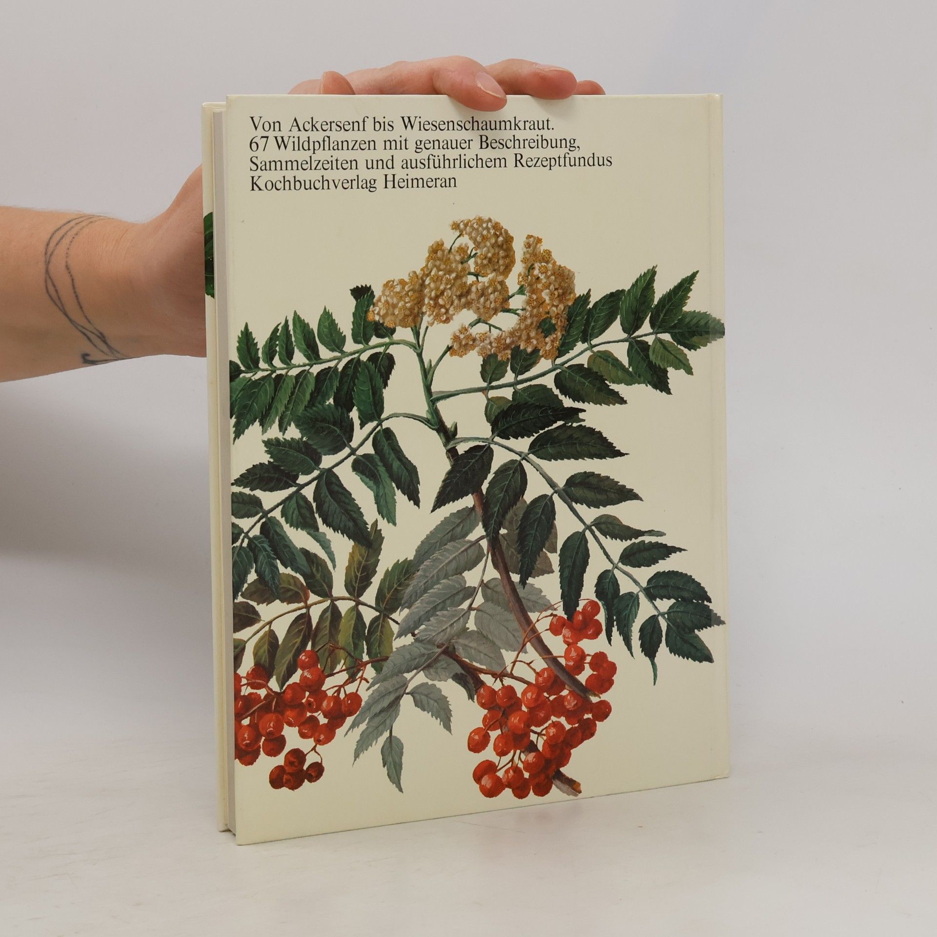 Eve Marie Helm Feld-, Wald- und Wiesenkochbuch