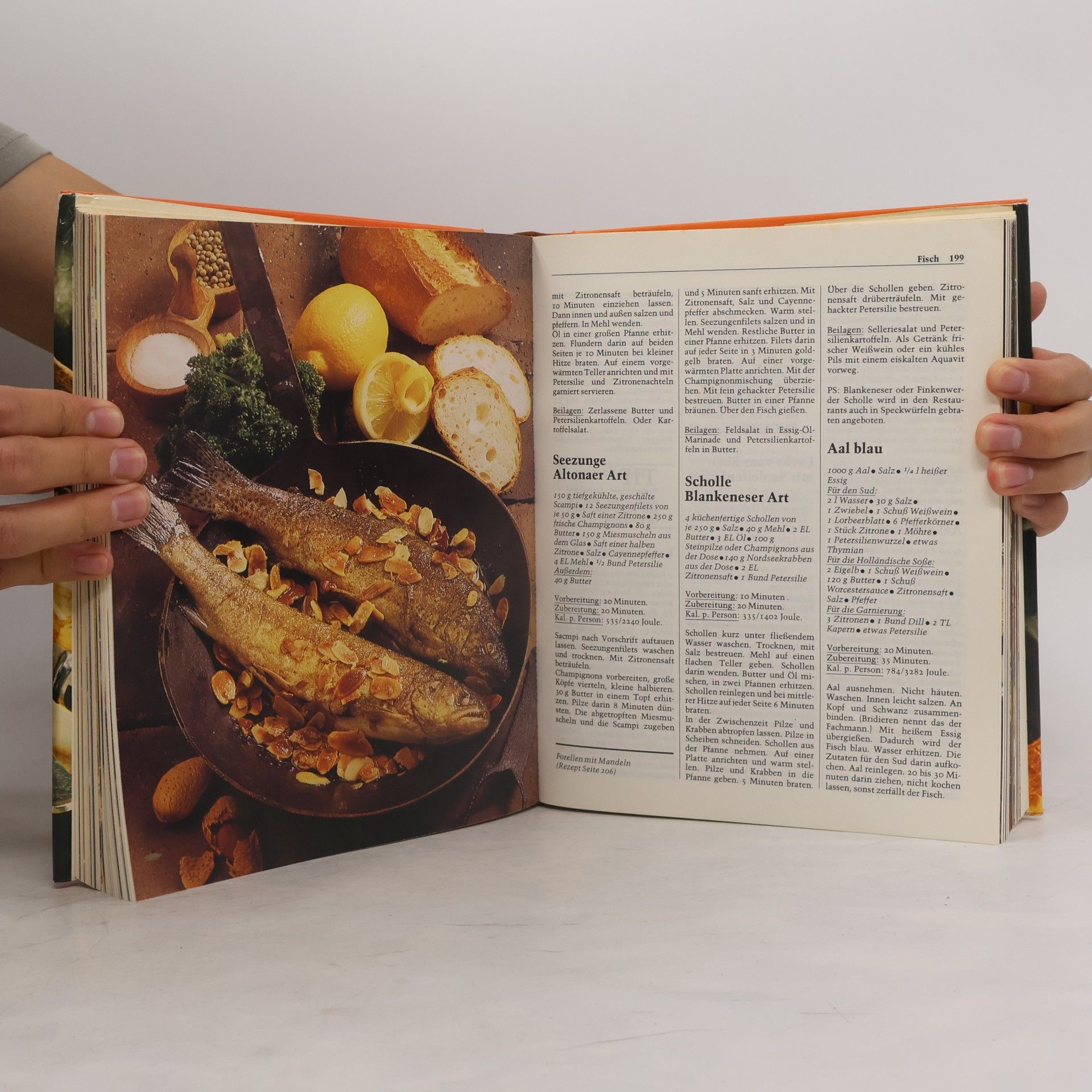 Autorenkollektiv Das grosse Menü-Kochbuch