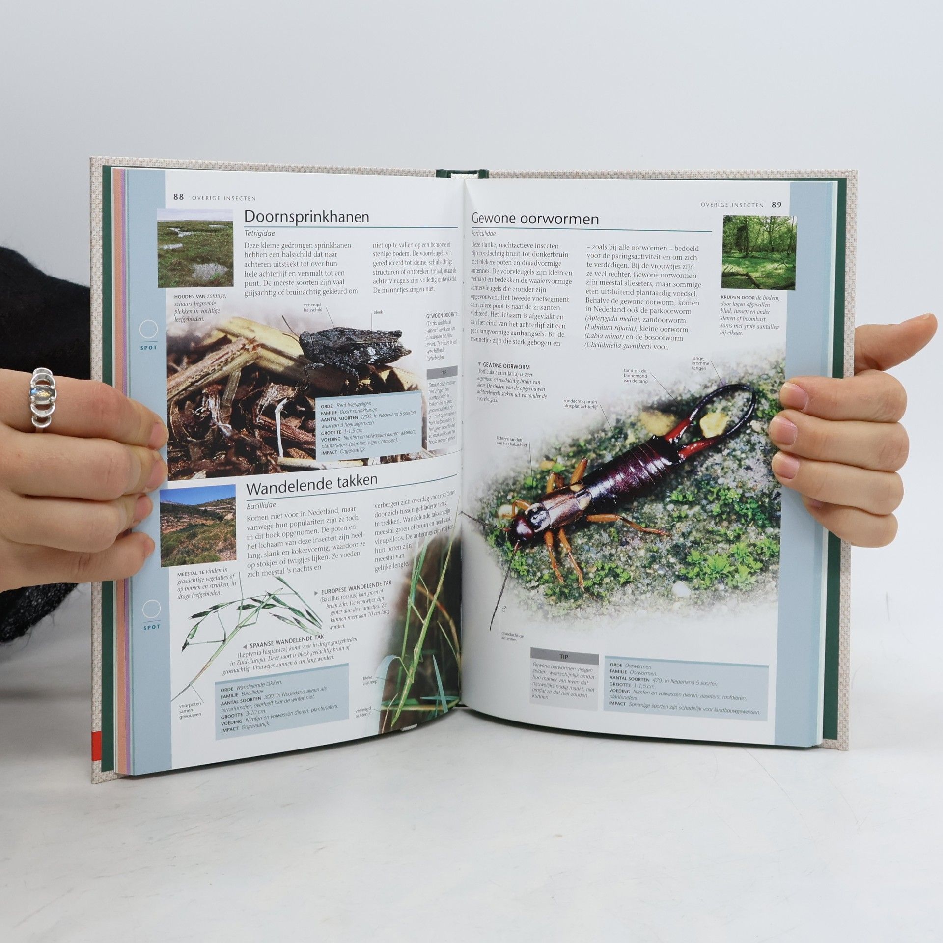 Various authors Vlinders & andere insecten in Nederland 3.