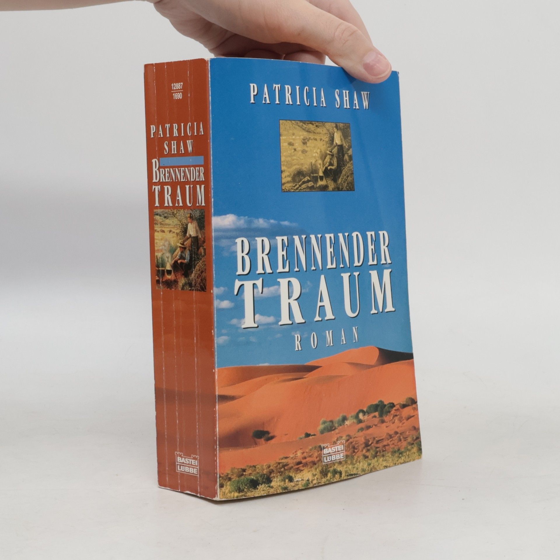 Patricia Shaw Brennender Traum