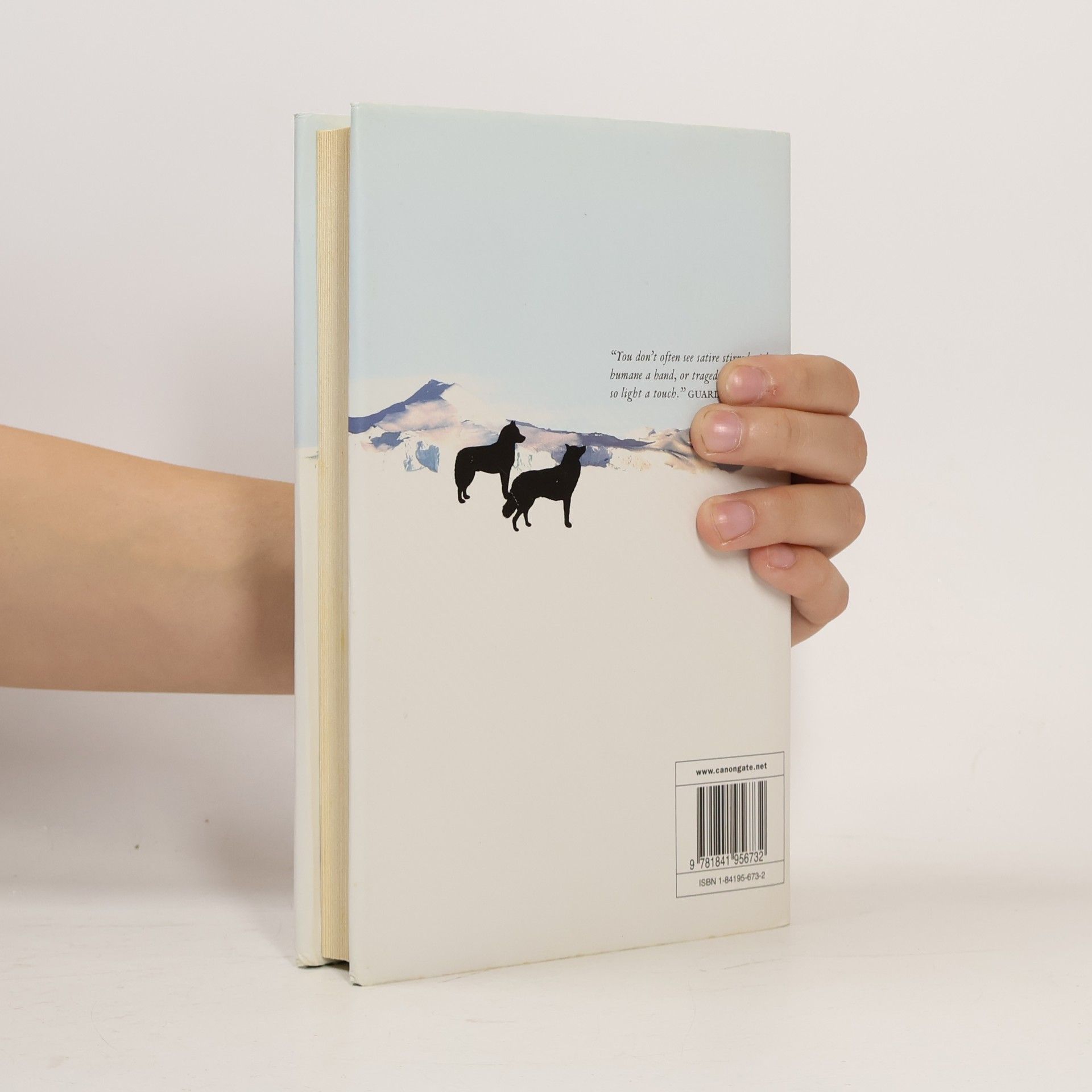 Michel Faber The Fahrenheit Twins