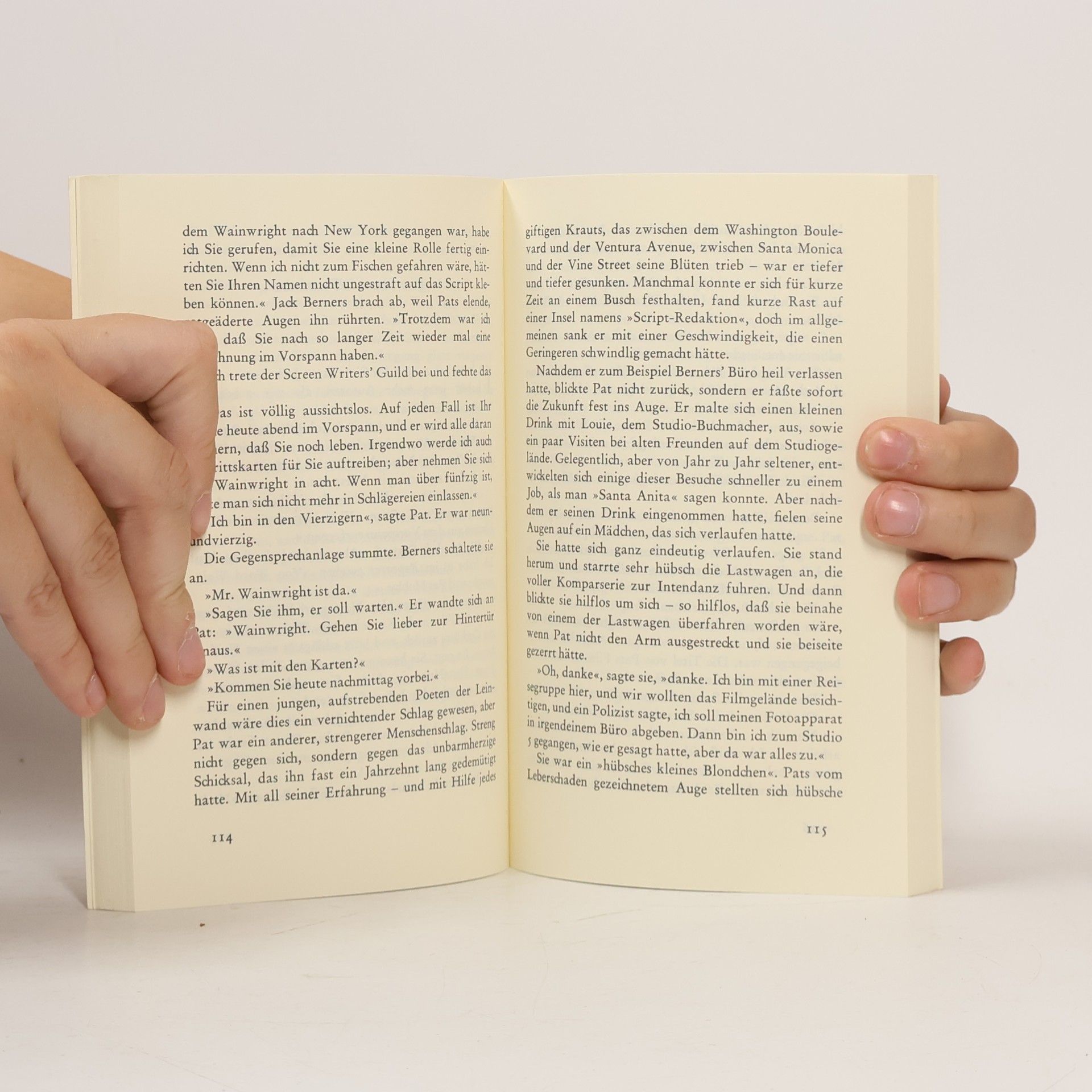 F. Scott Fitzgerald Pat Hobbys Hollywood-Stories