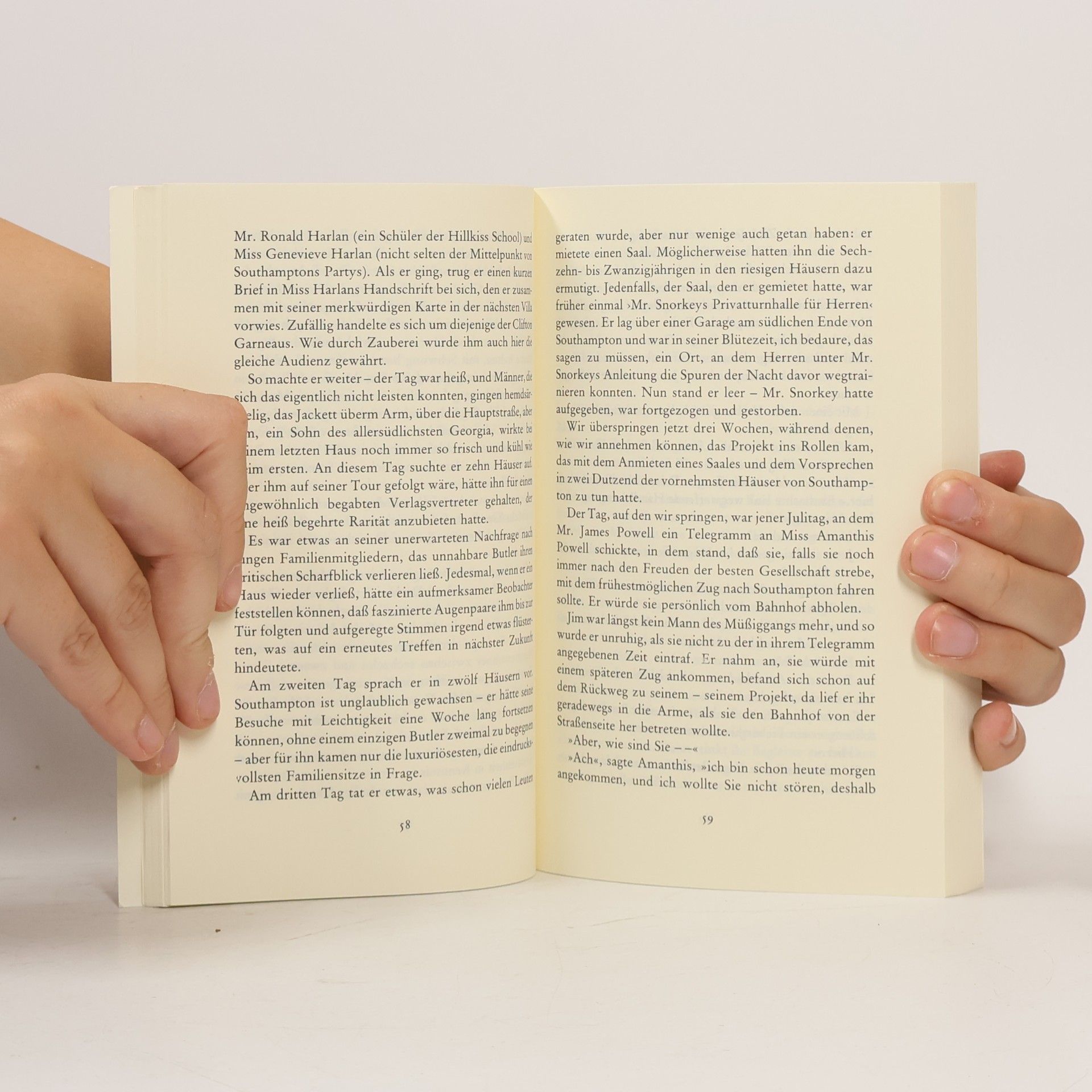 F. Scott Fitzgerald Das Liebesschiff