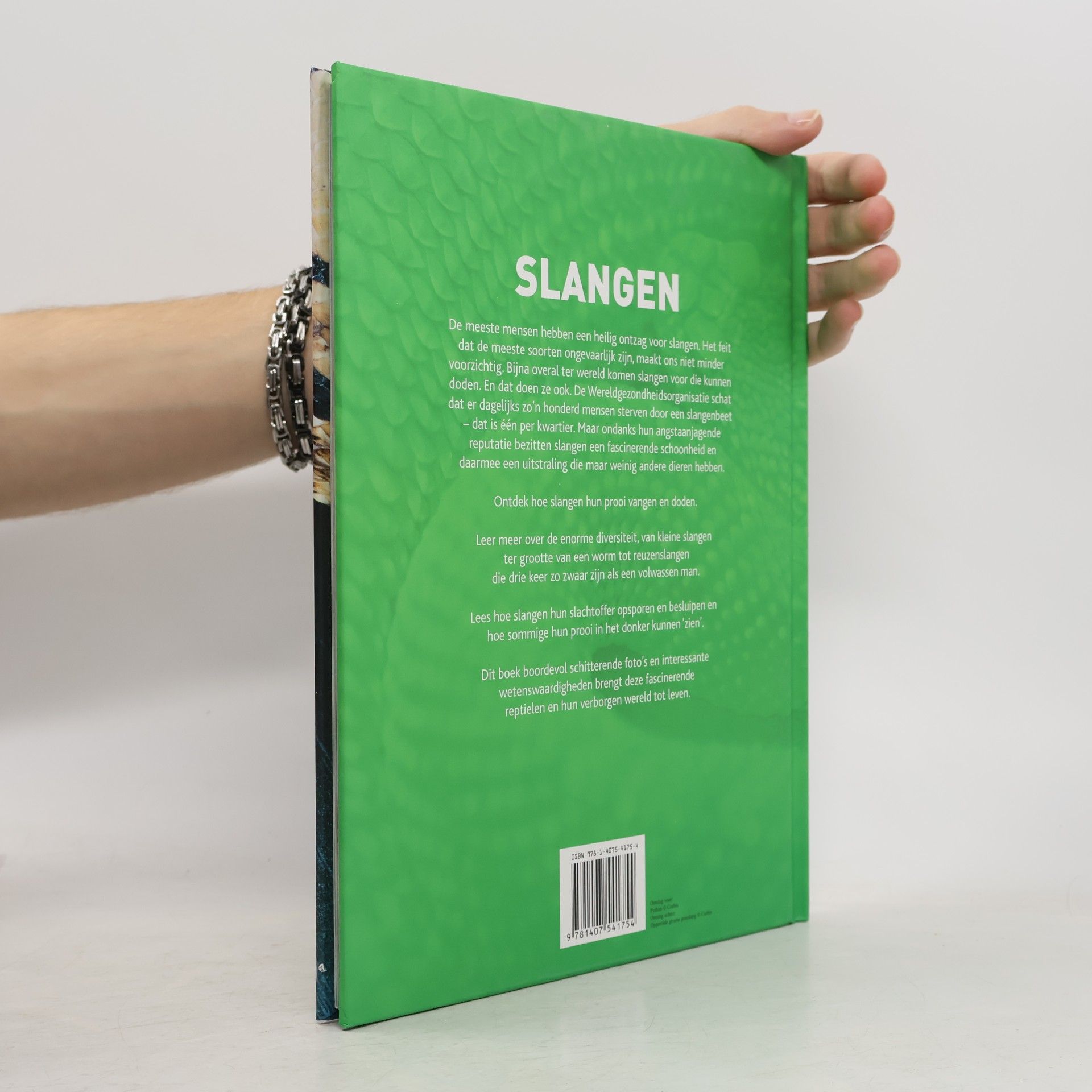 Daniel Gilpin Slangen