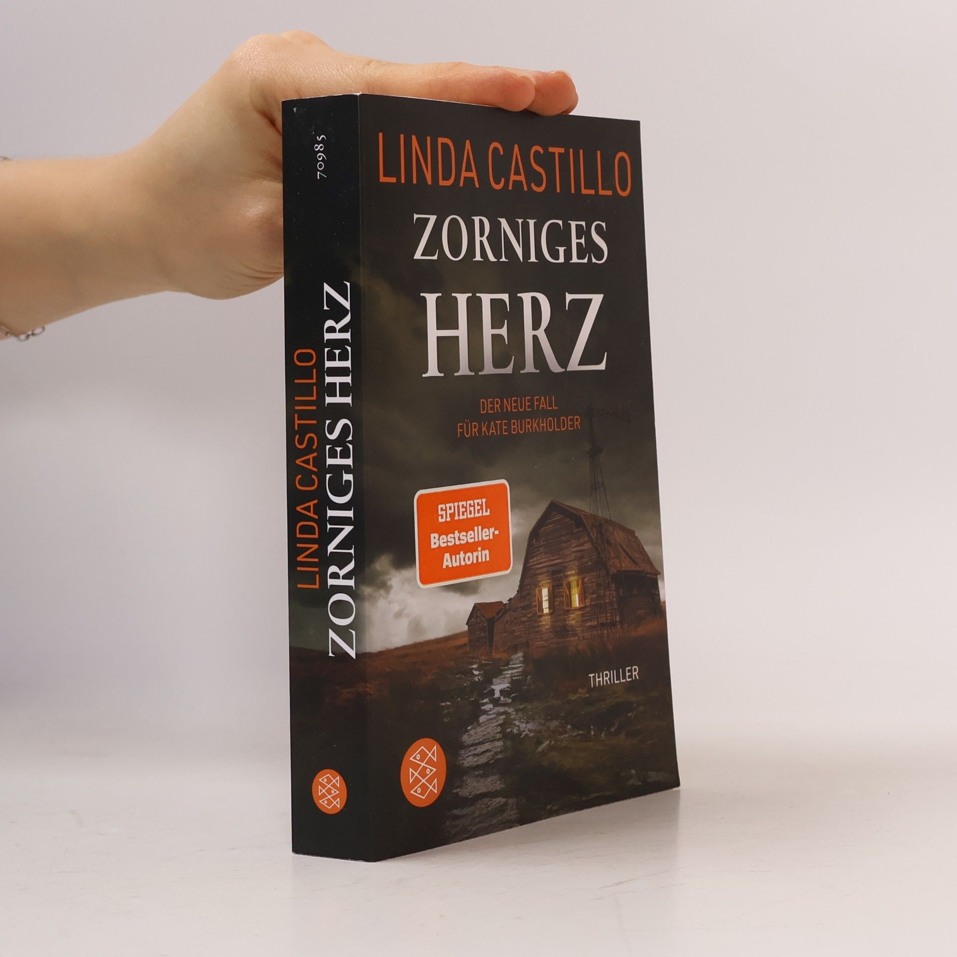 Linda Castillo Zorniges Herz
