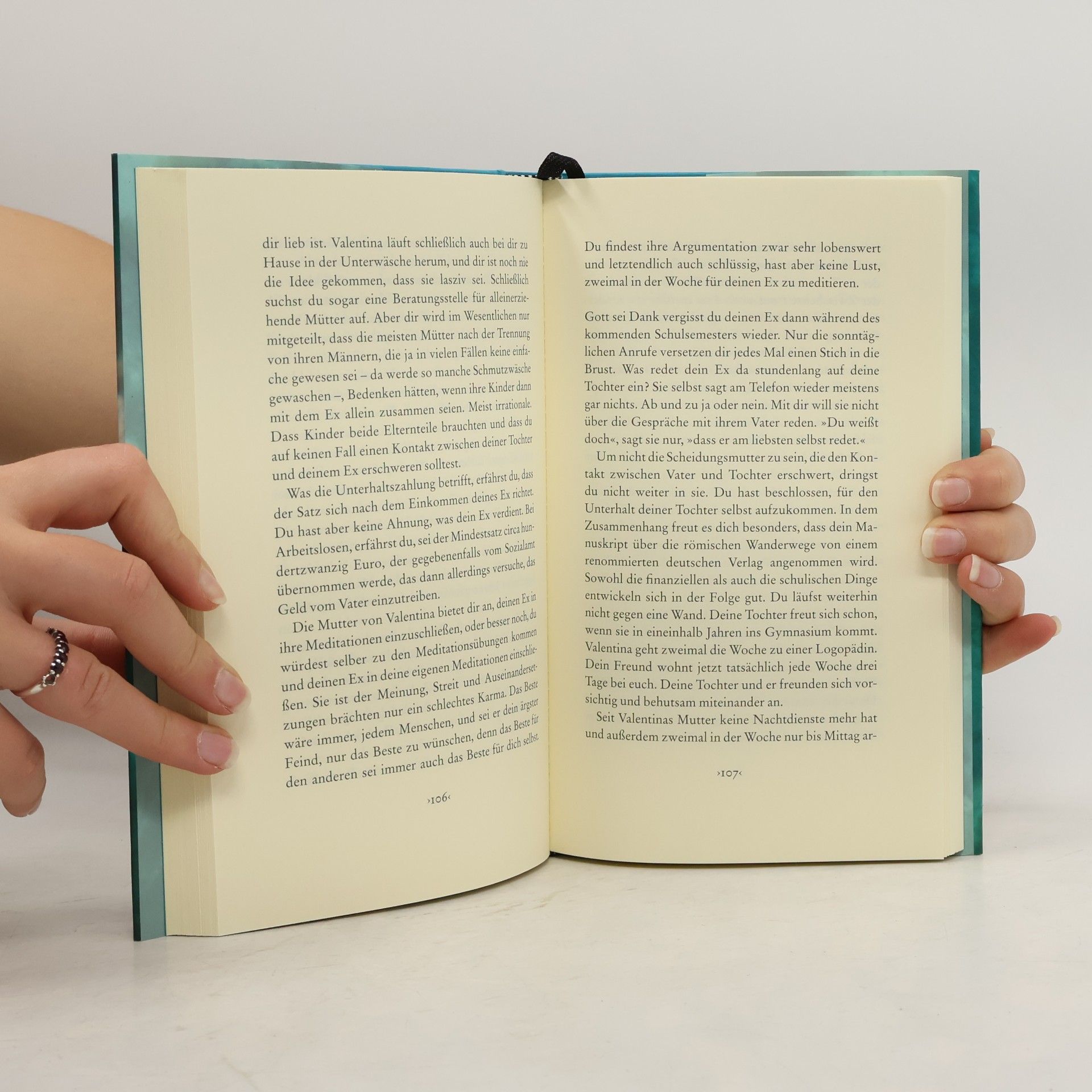Margit Schreiner Die Tiere von Paris : Roman