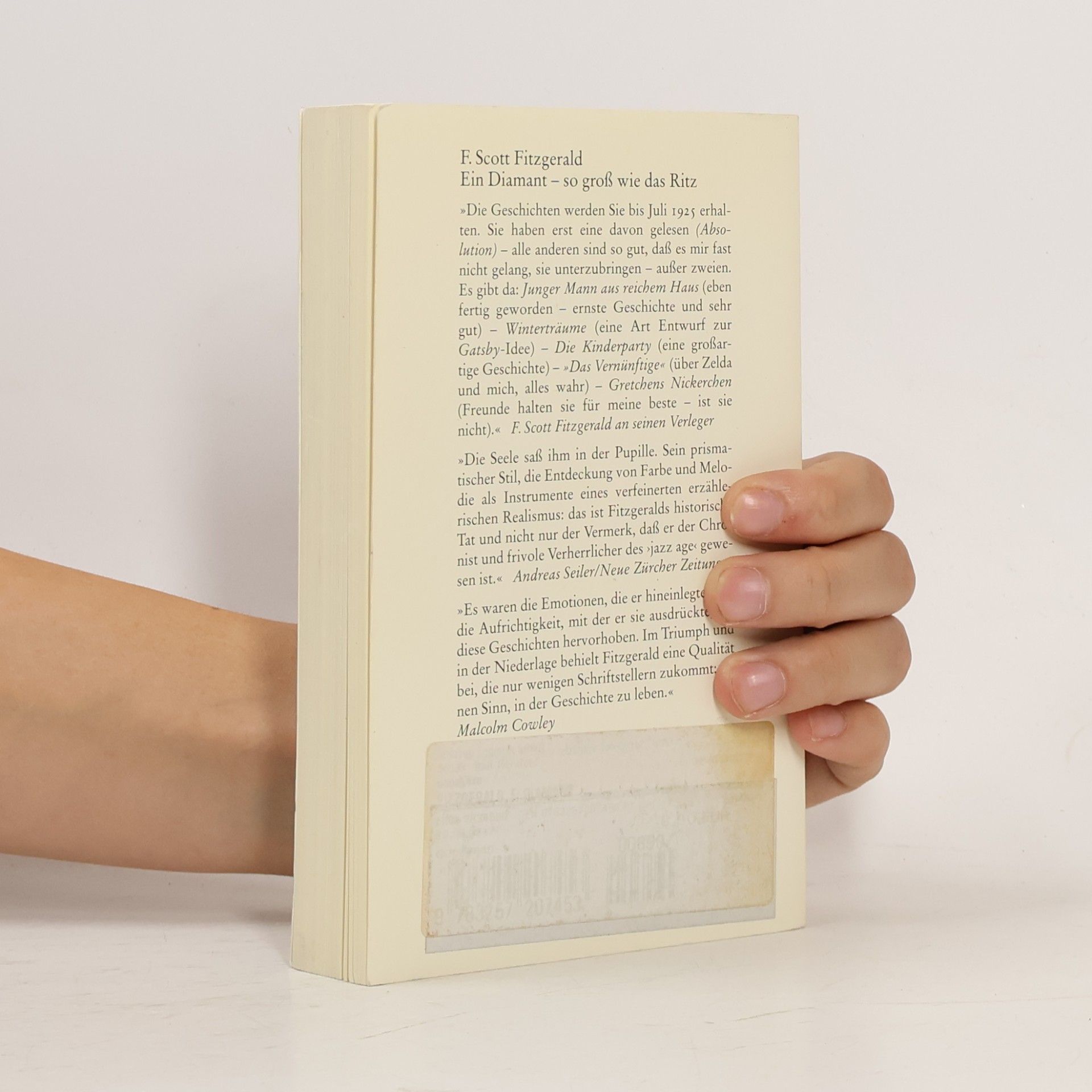F. Scott Fitzgerald Ein Diamant - so gross wie das Ritz