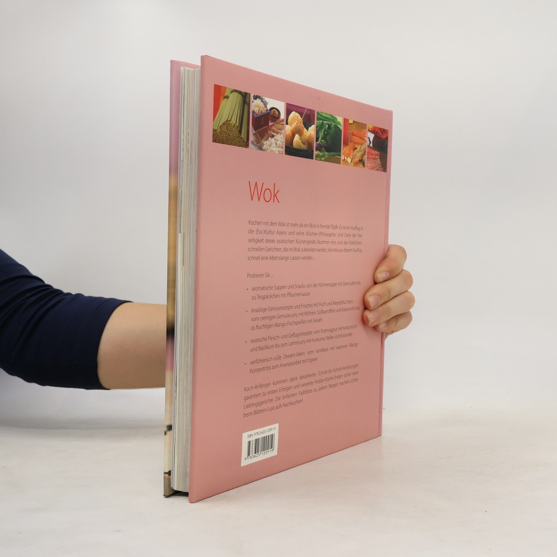 Wok die besten Rezepte aus der Asia Küche
