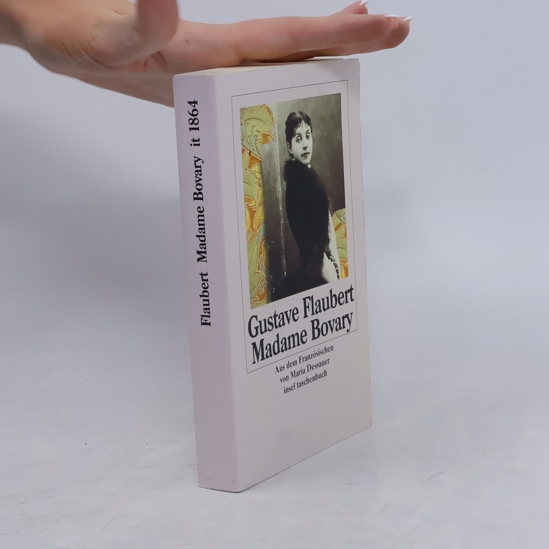 Gustave Flaubert Madame Bovary