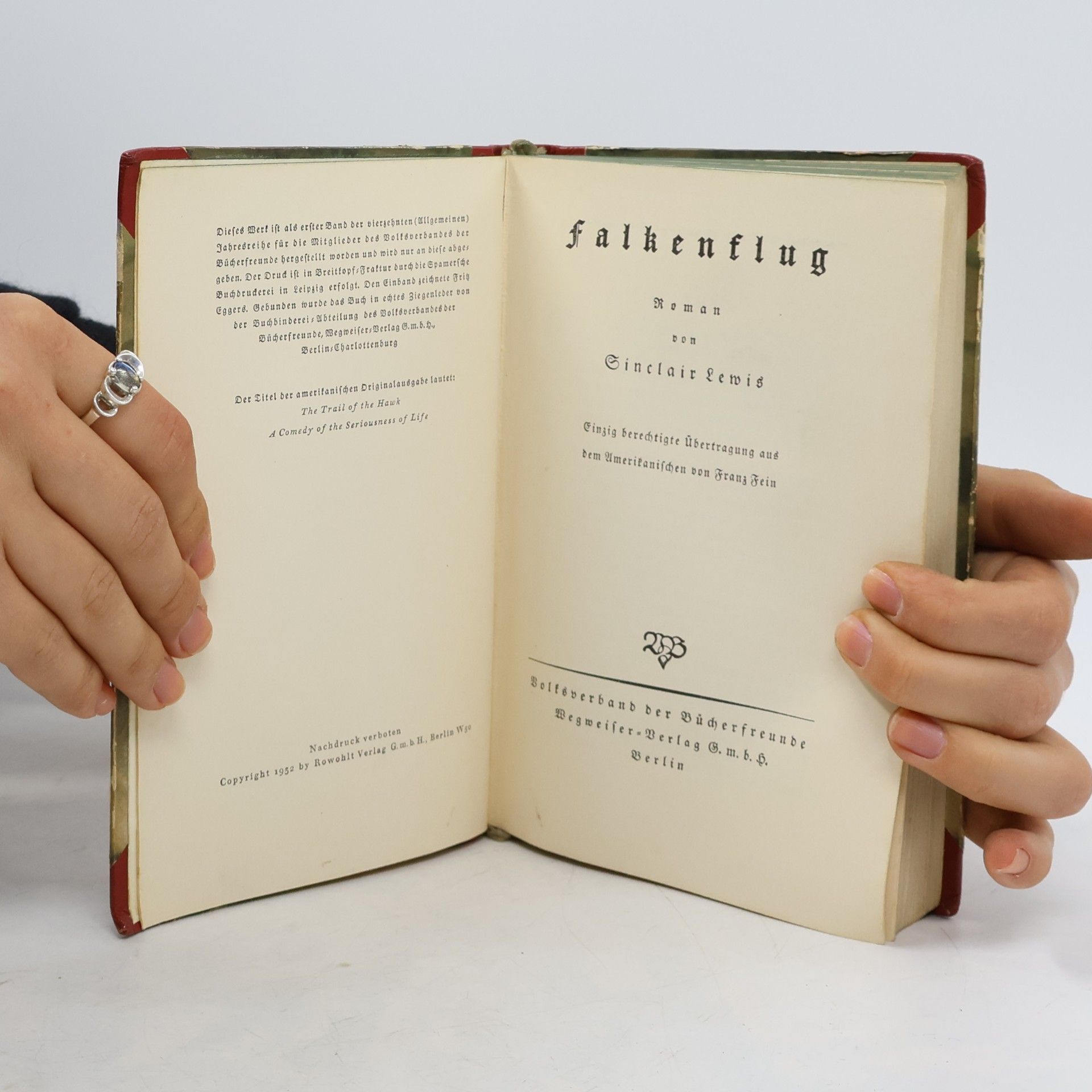 Sinclair Lewis Falkenflug